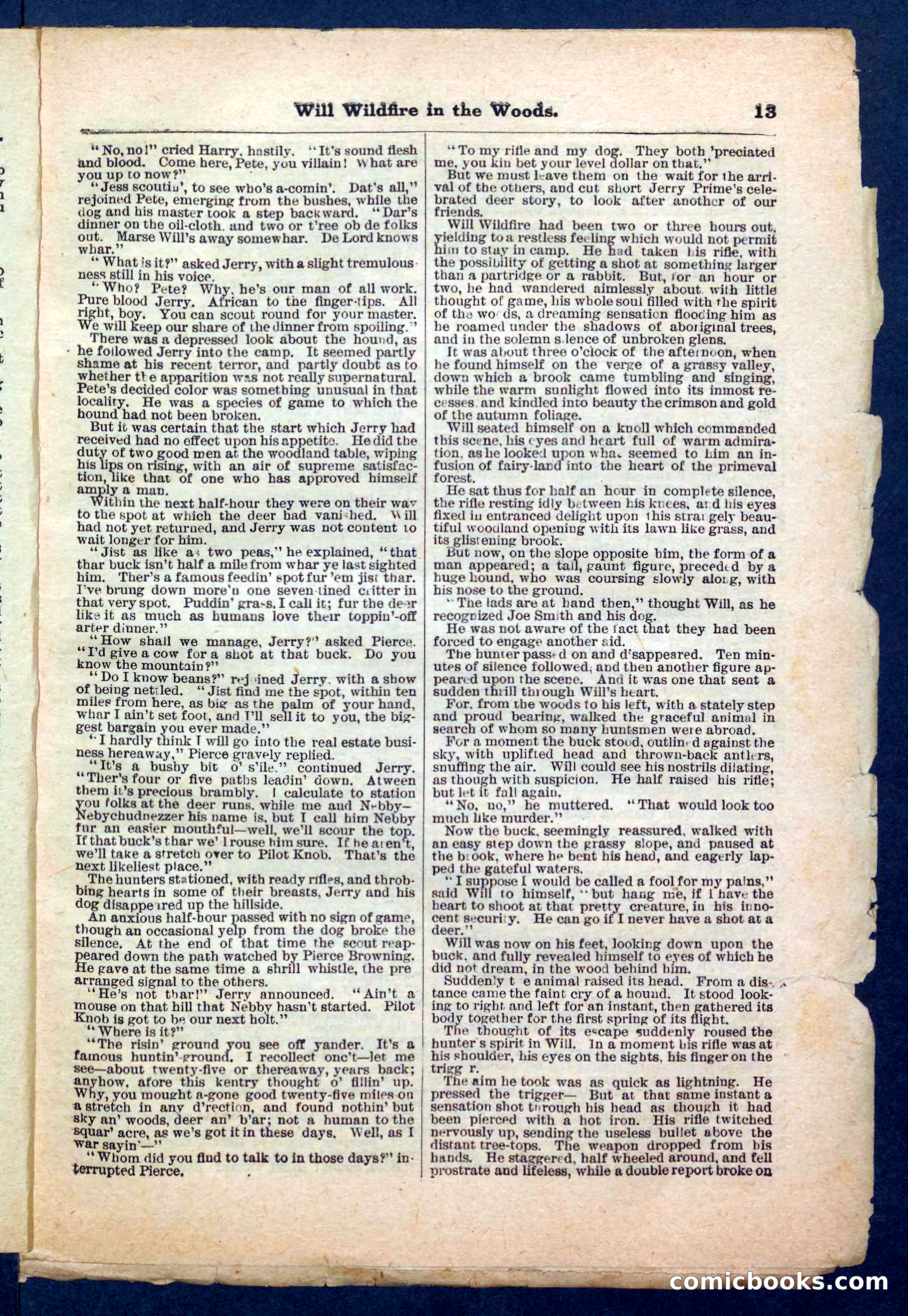 Beadle's Pocket Library No. 156 — page 13 of 32