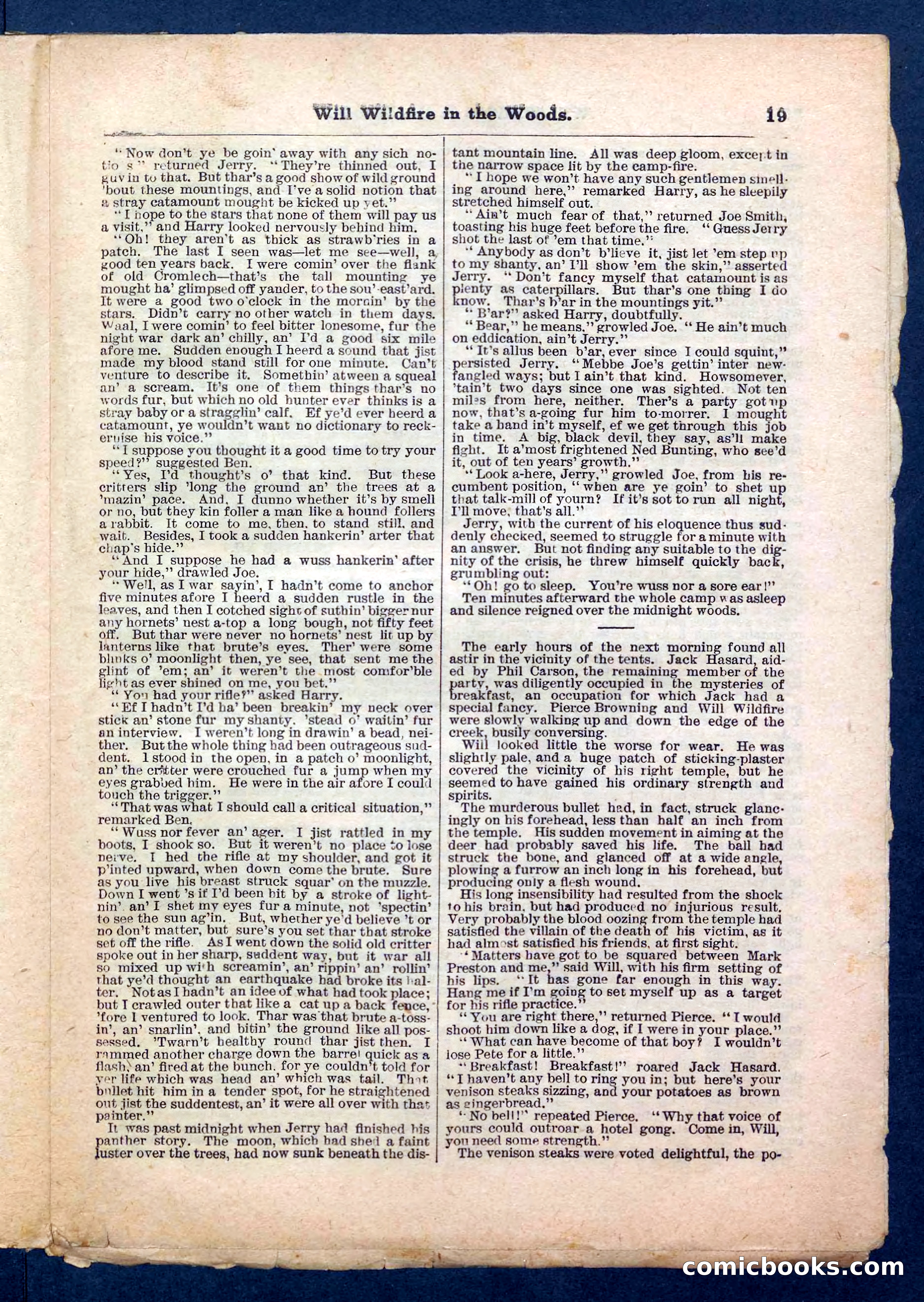 Beadle's Pocket Library No. 156 — page 19 of 32
