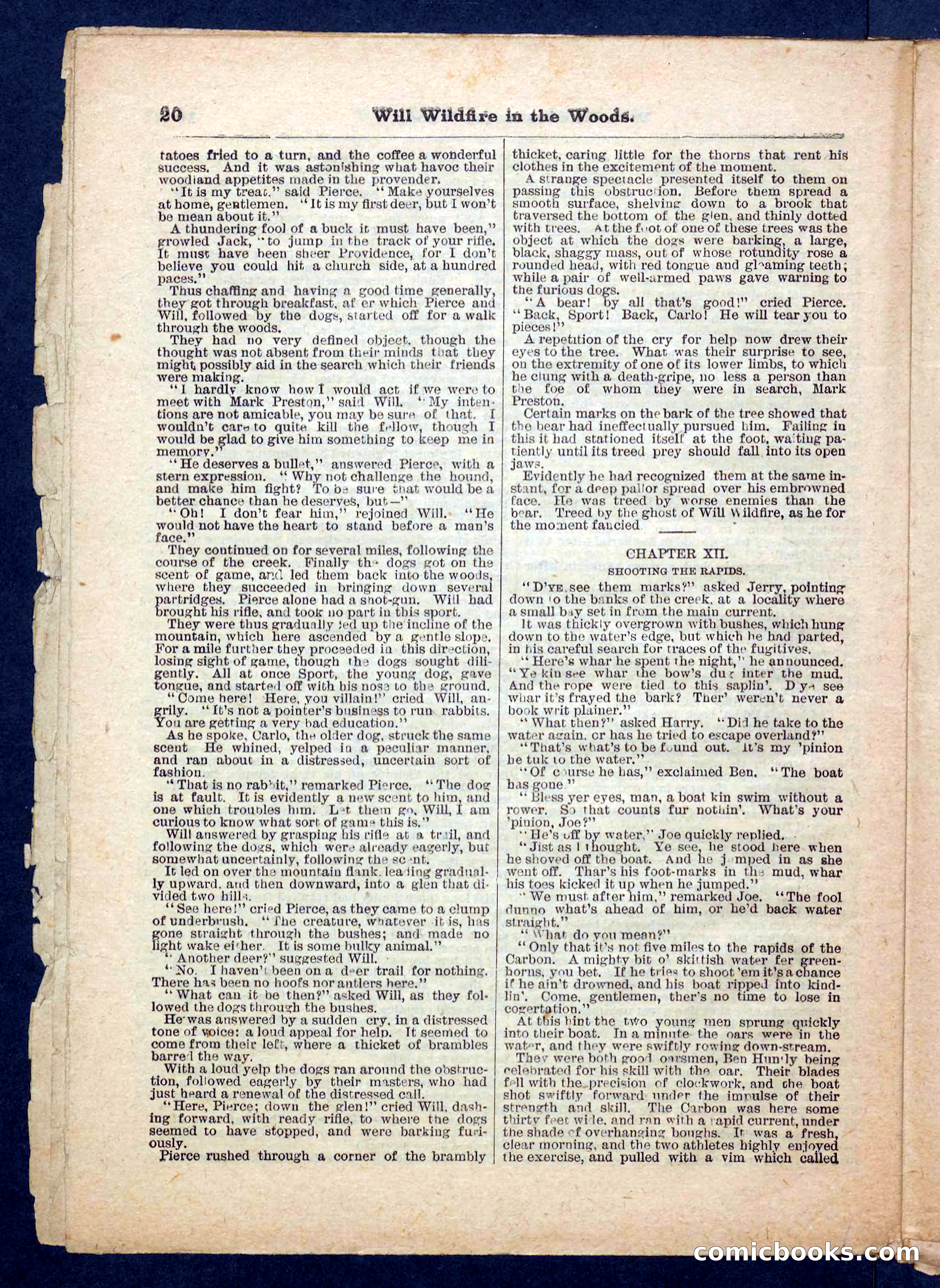 Beadle's Pocket Library No. 156 — page 20 of 32