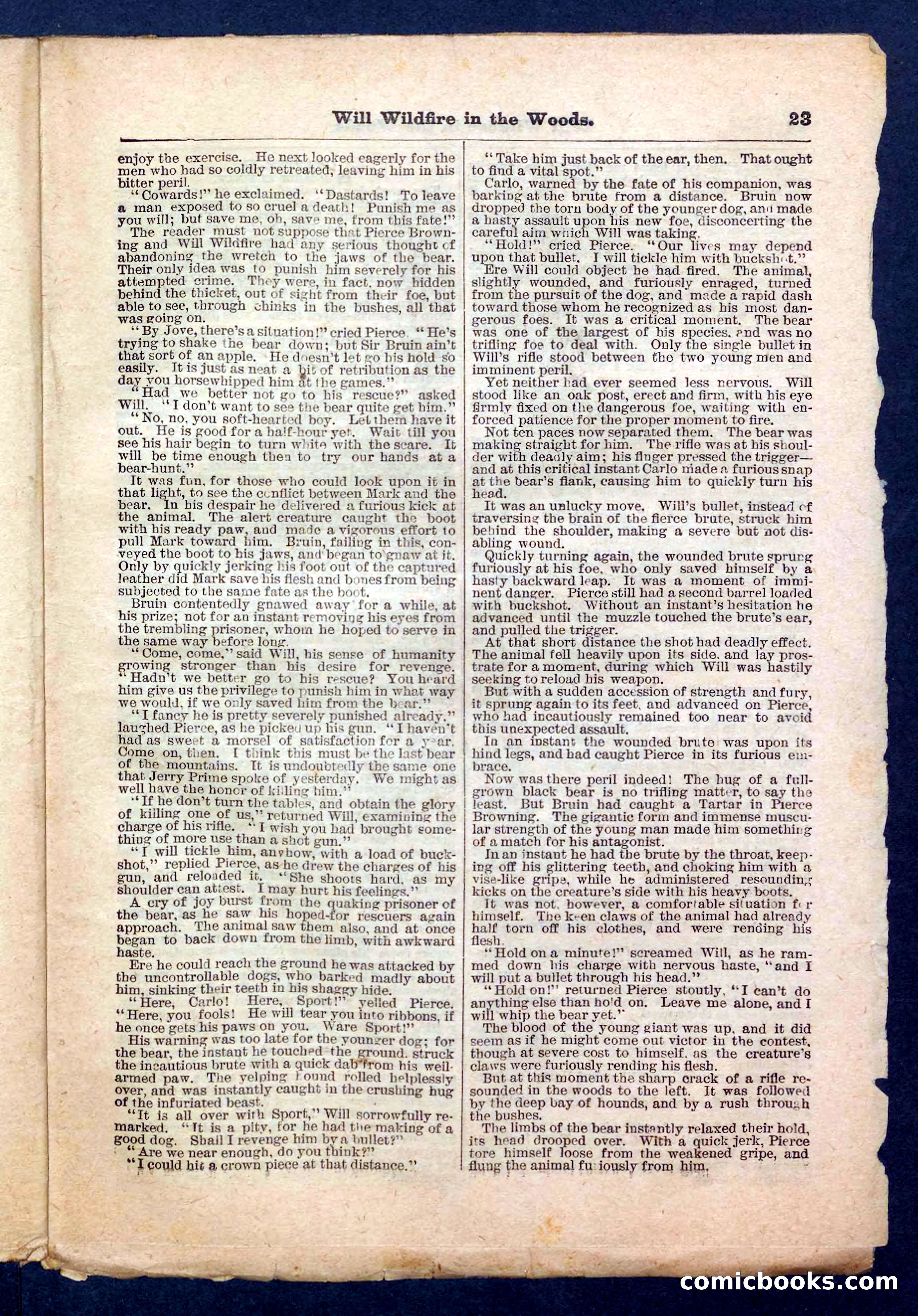 Beadle's Pocket Library No. 156 — page 23 of 32