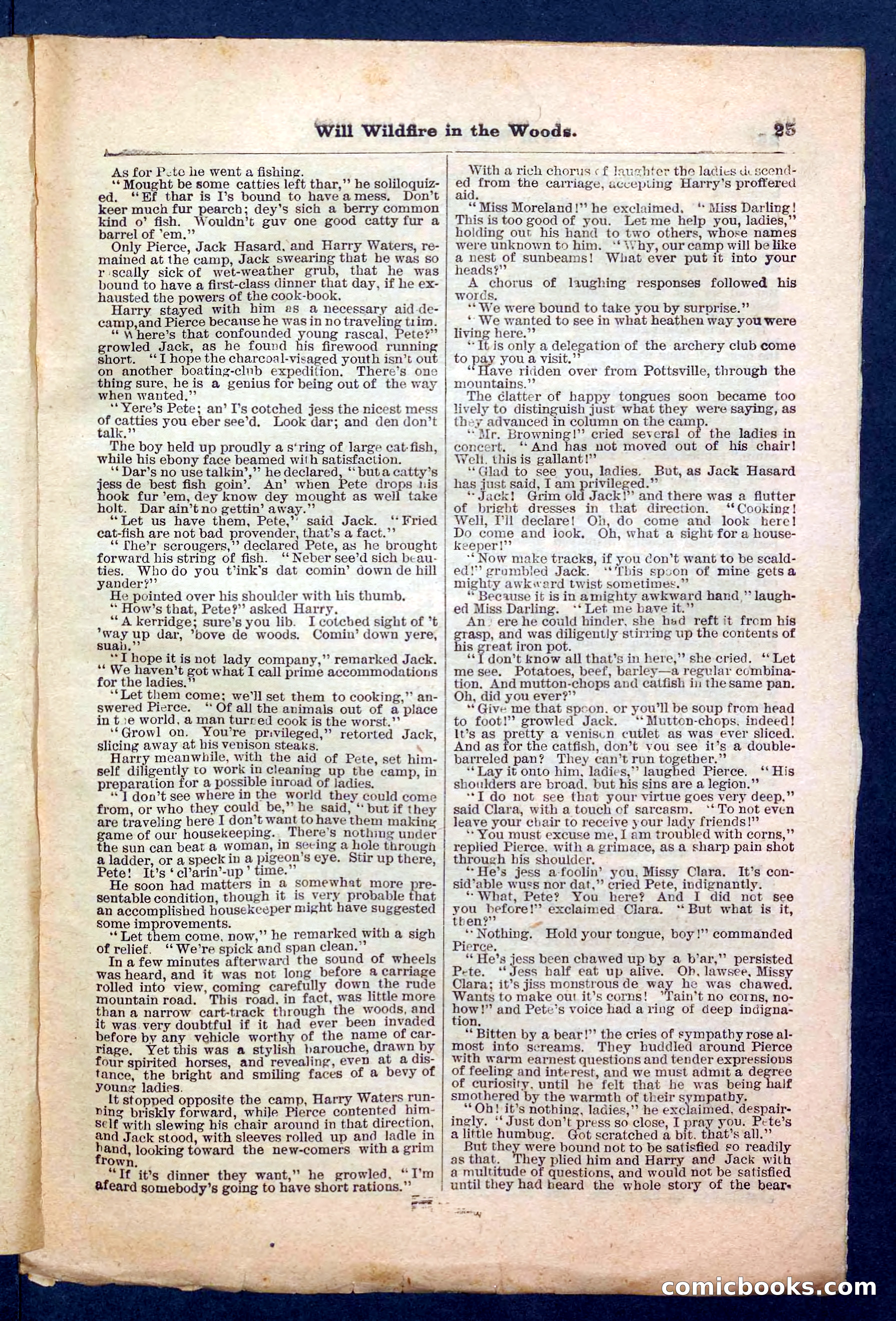 Beadle's Pocket Library No. 156 — page 25 of 32