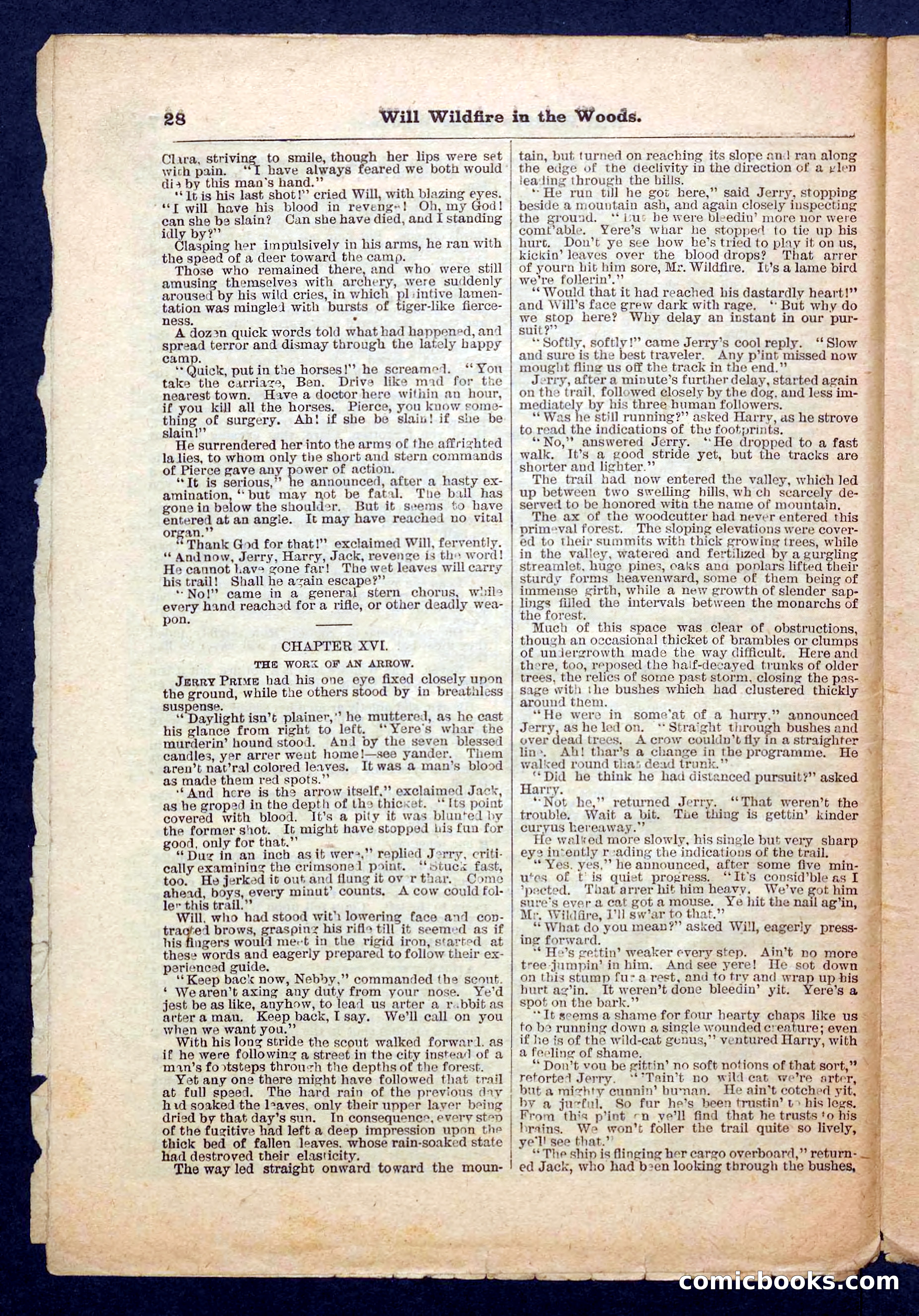 Beadle's Pocket Library No. 156 — page 28 of 32