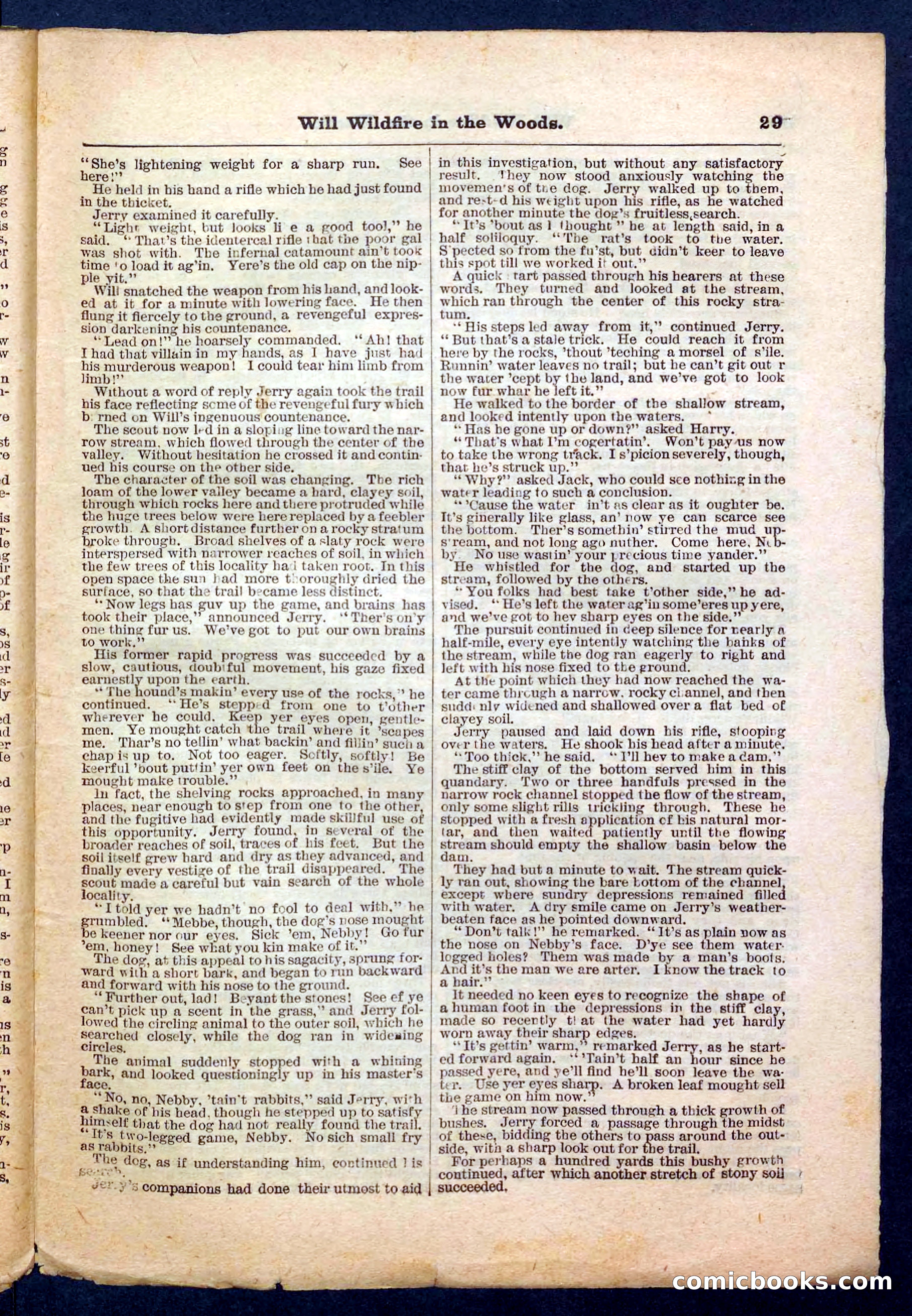 Beadle's Pocket Library No. 156 — page 29 of 32