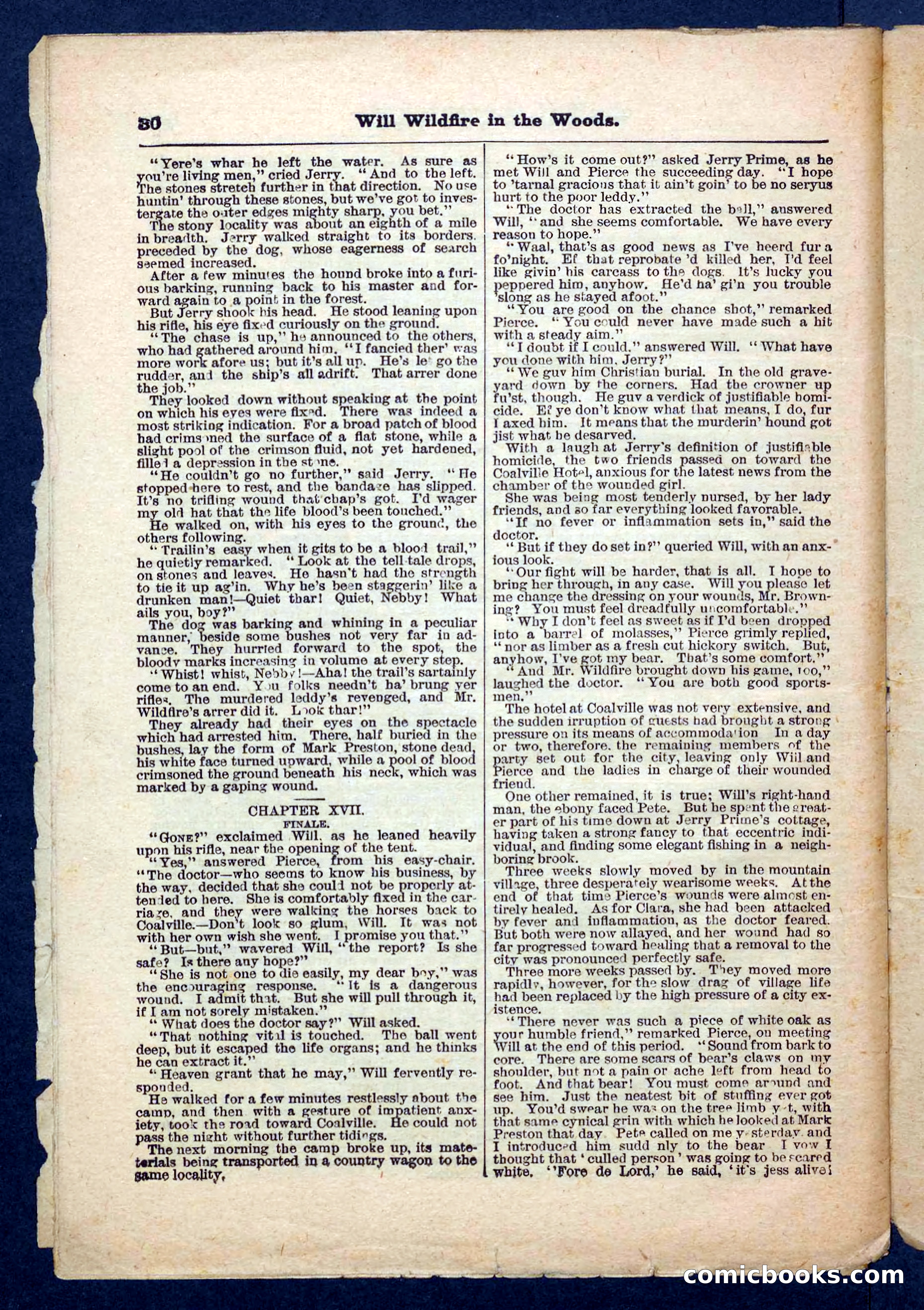 Beadle's Pocket Library No. 156 — page 30 of 32