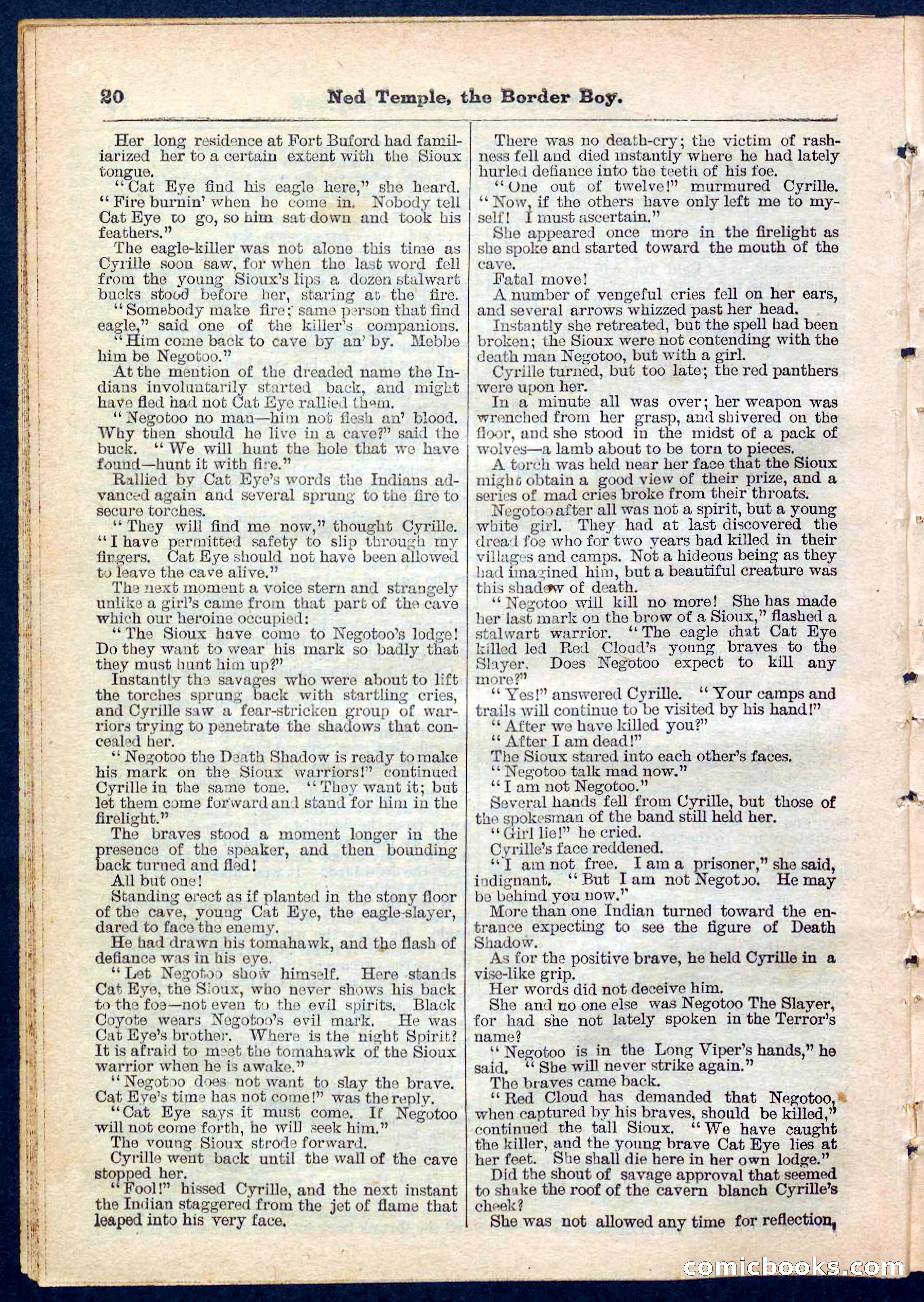Beadle's Pocket Library No. 157 — page 20 of 32
