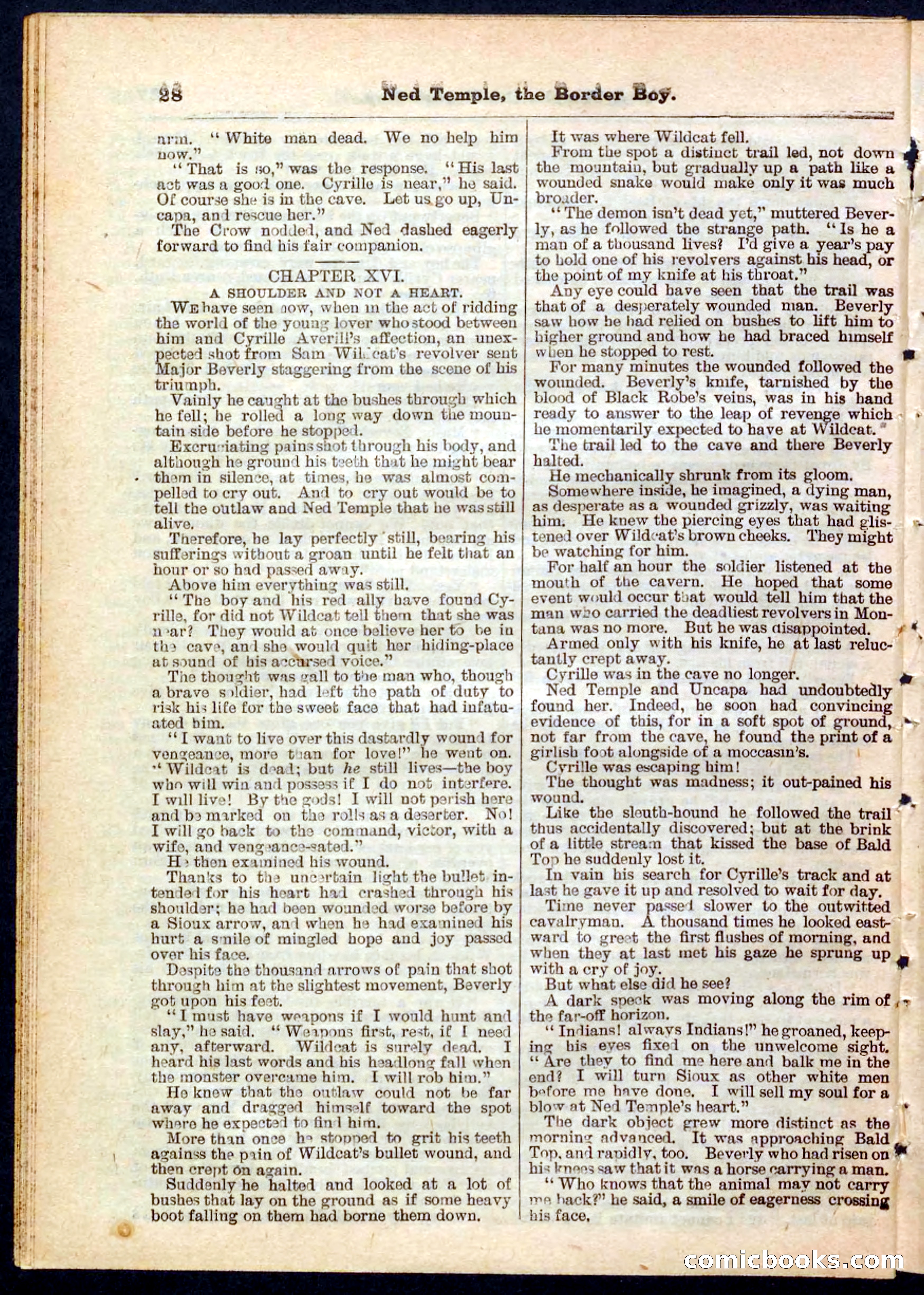 Beadle's Pocket Library No. 157 — page 28 of 32