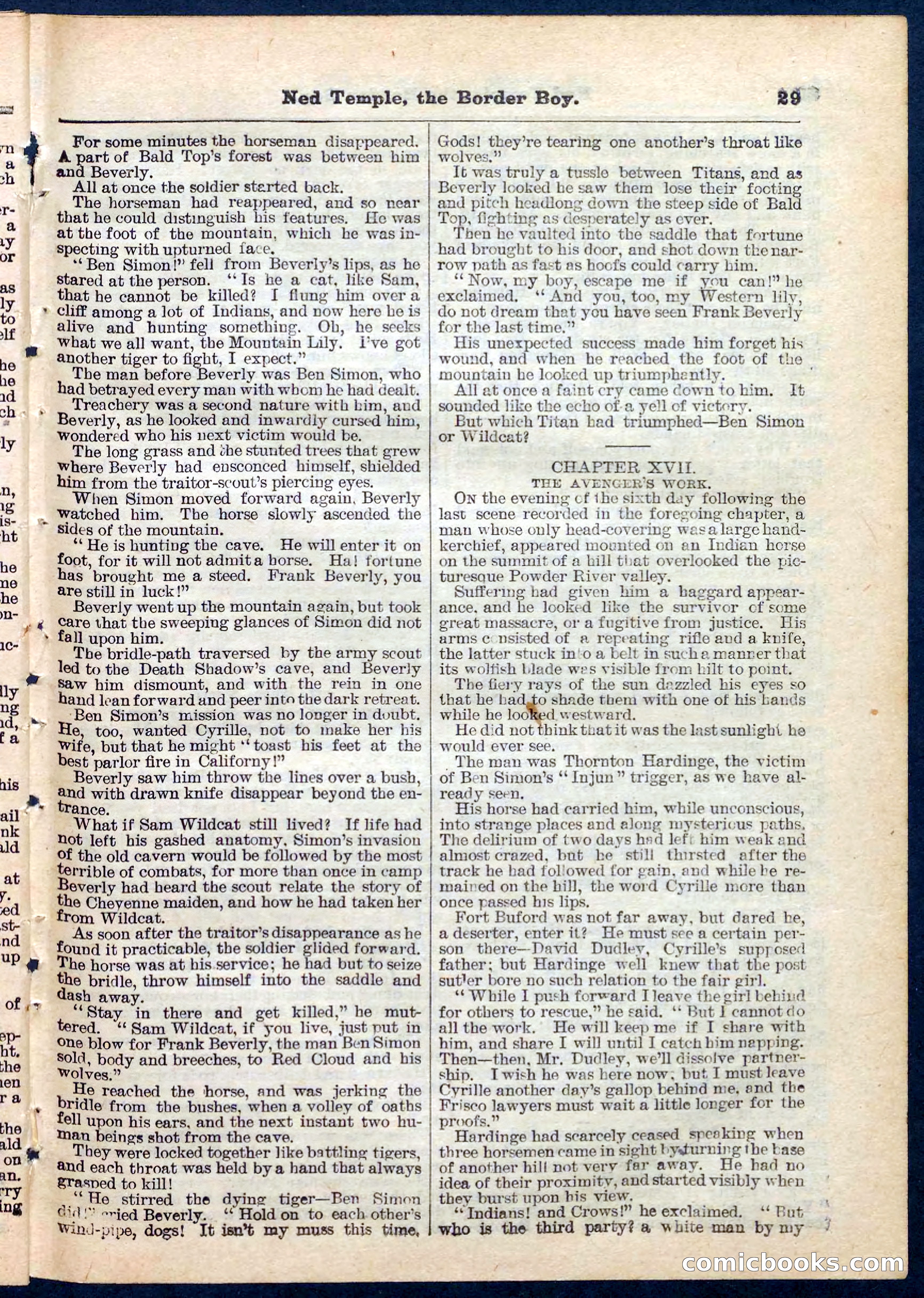 Beadle's Pocket Library No. 157 — page 29 of 32