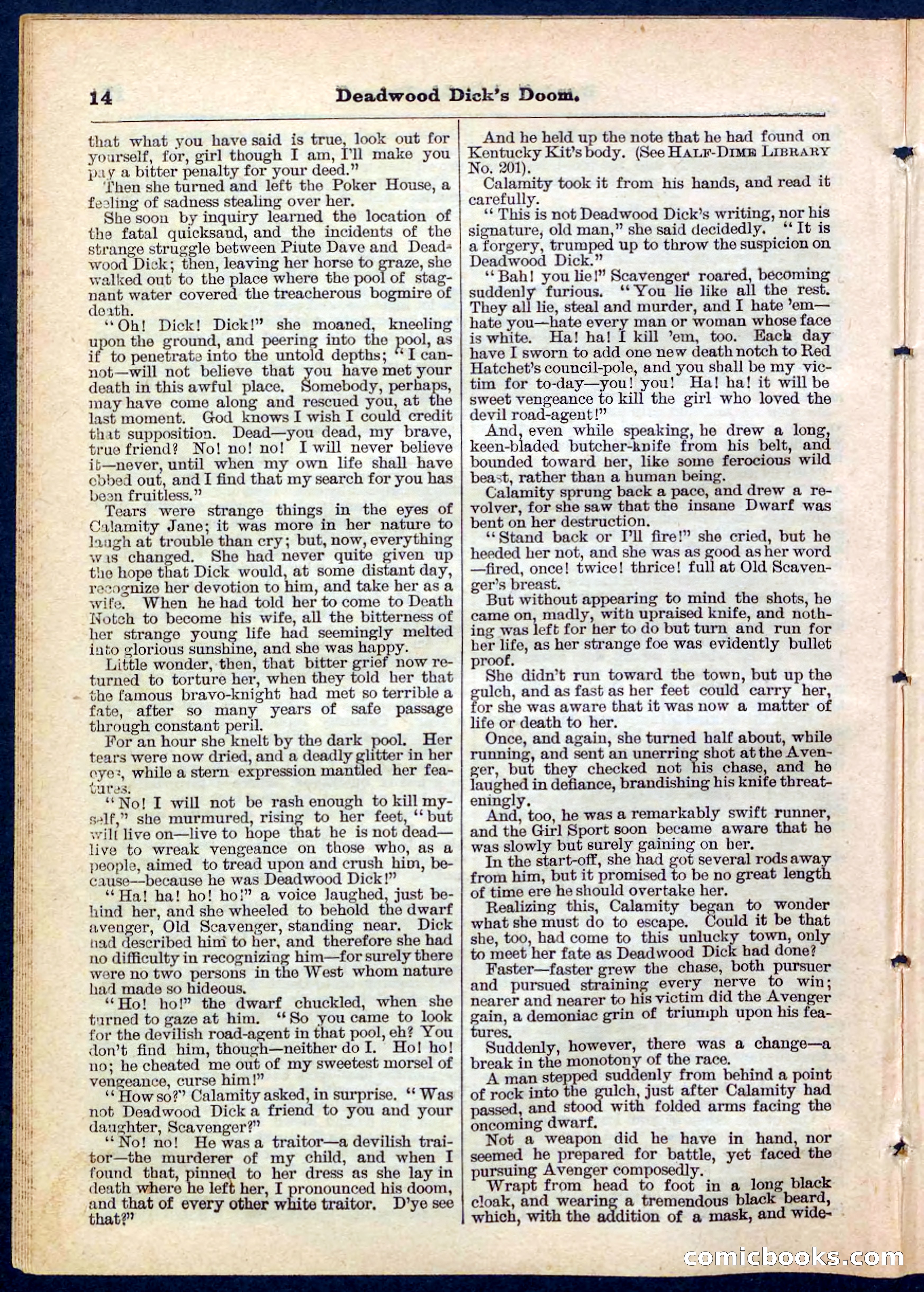 Beadle's Pocket Library No. 158 — page 14 of 32
