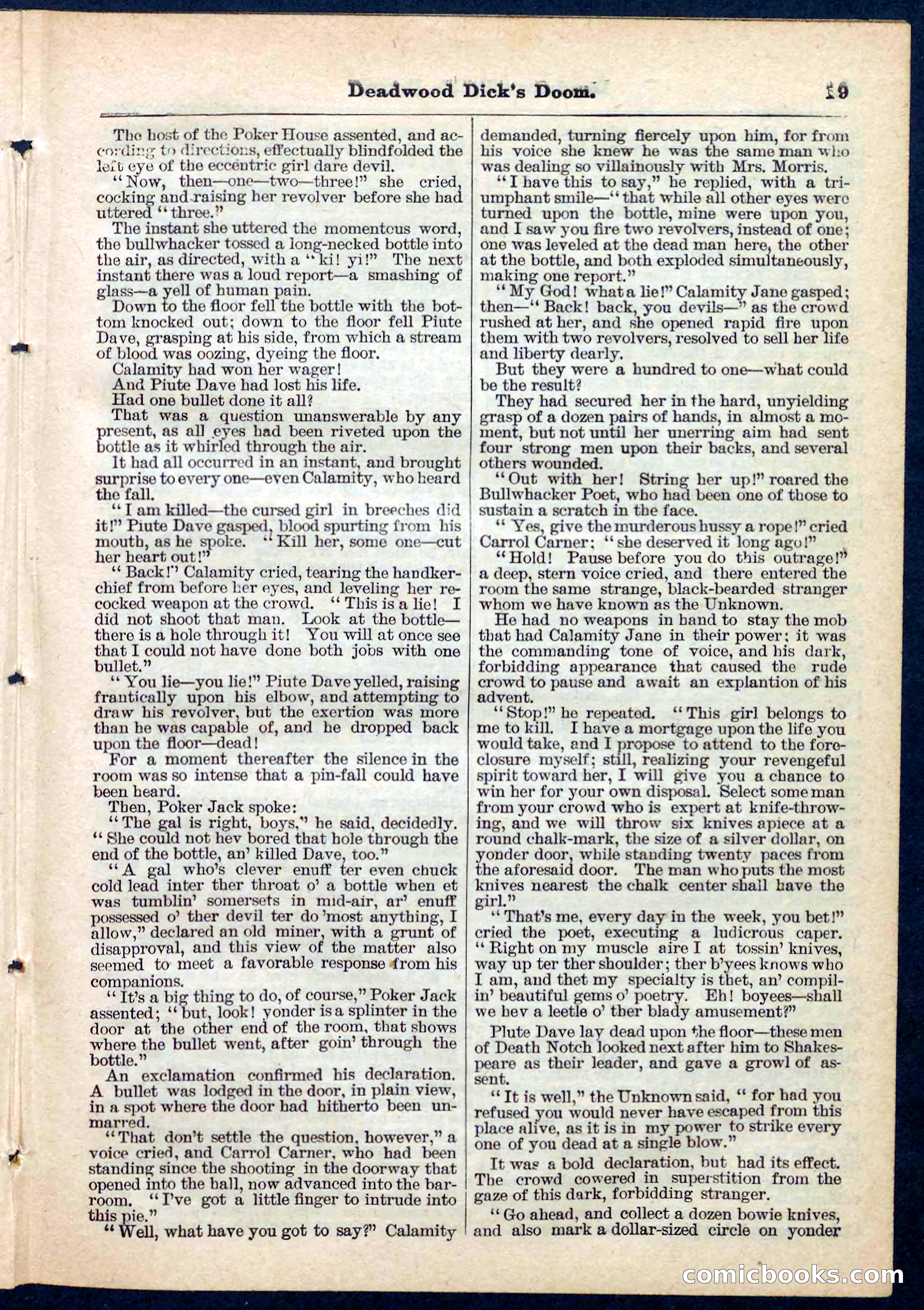 Beadle's Pocket Library No. 158 — page 19 of 32