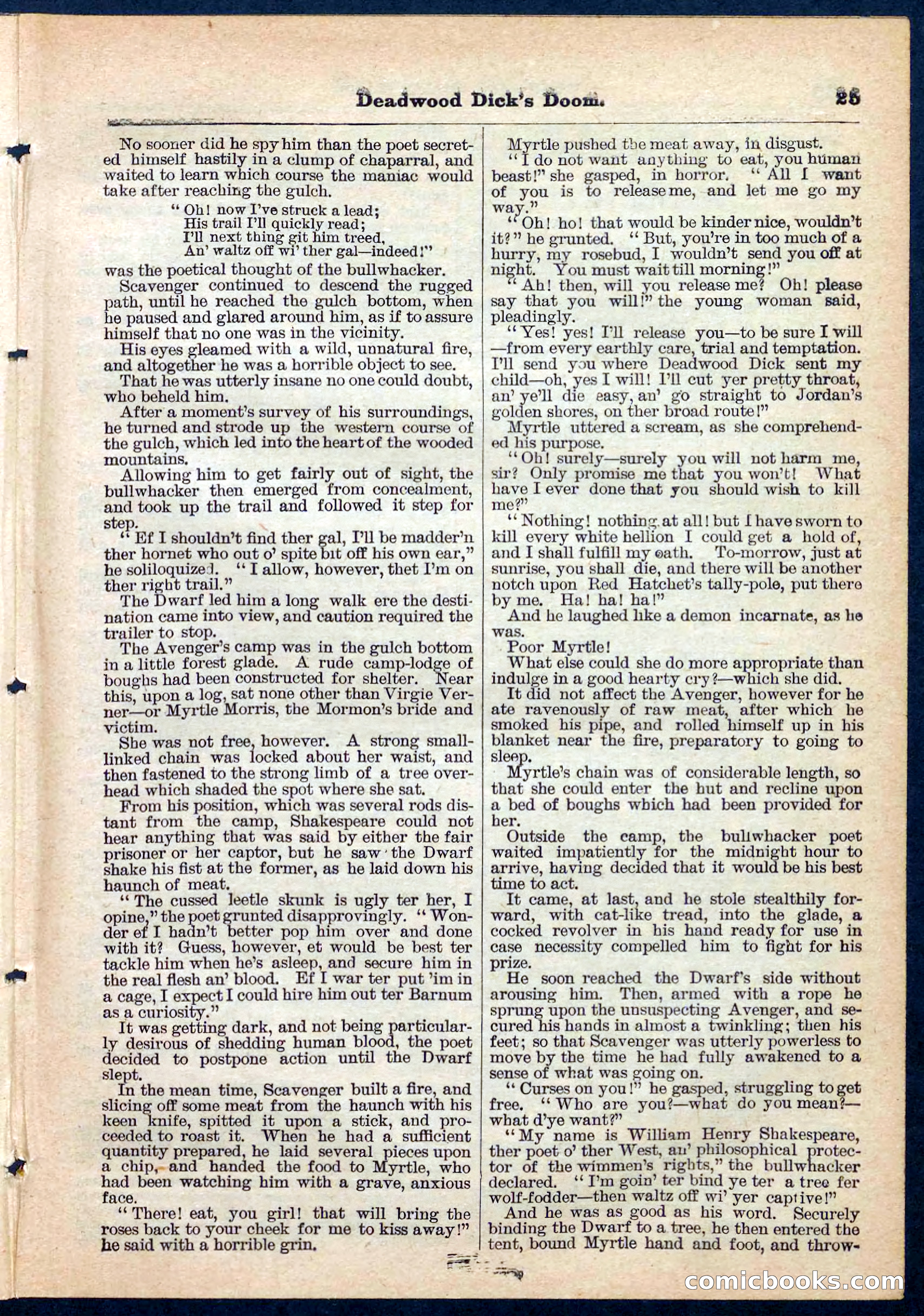 Beadle's Pocket Library No. 158 — page 25 of 32