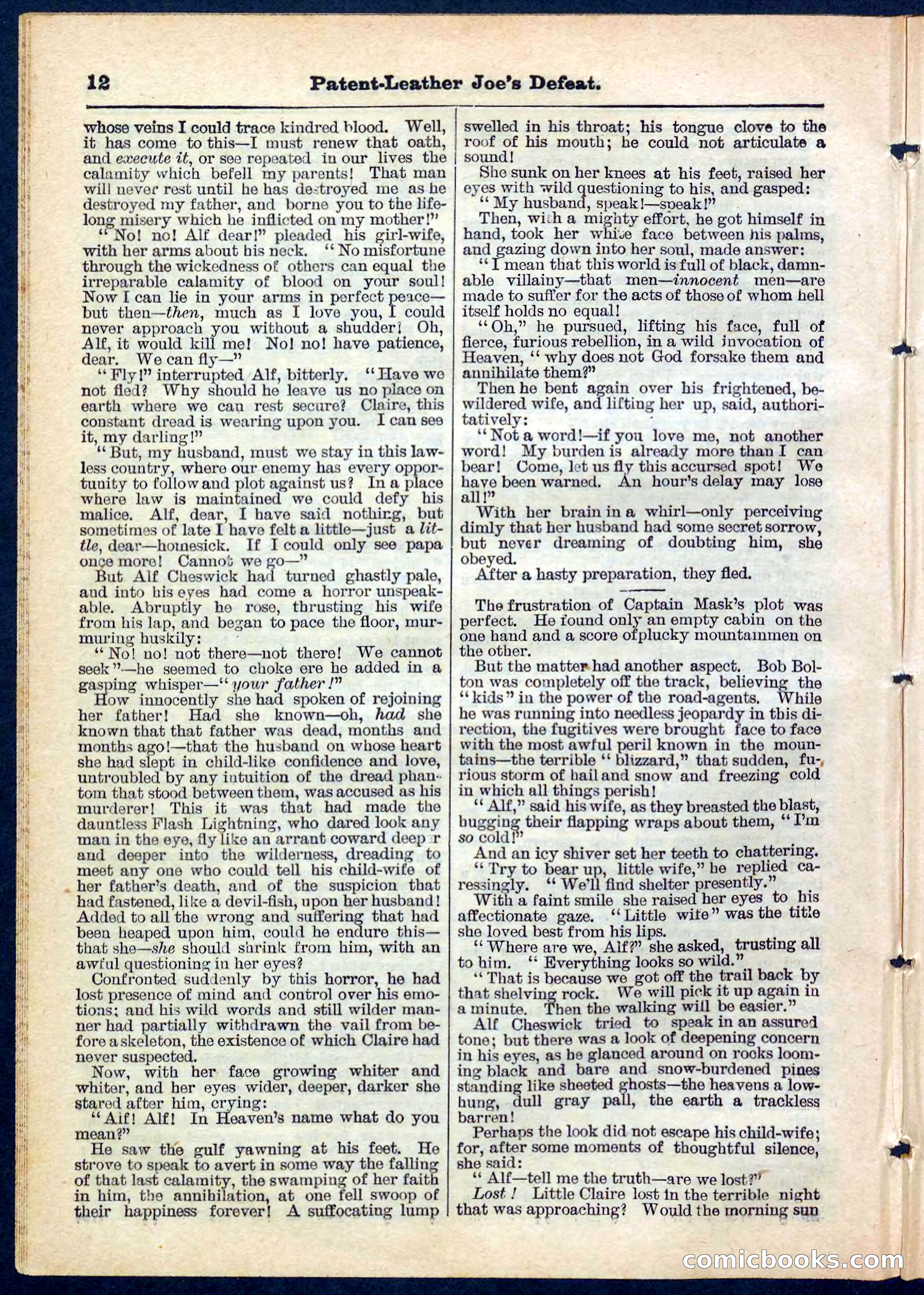 Beadle's Pocket Library No. 159 — page 12 of 32
