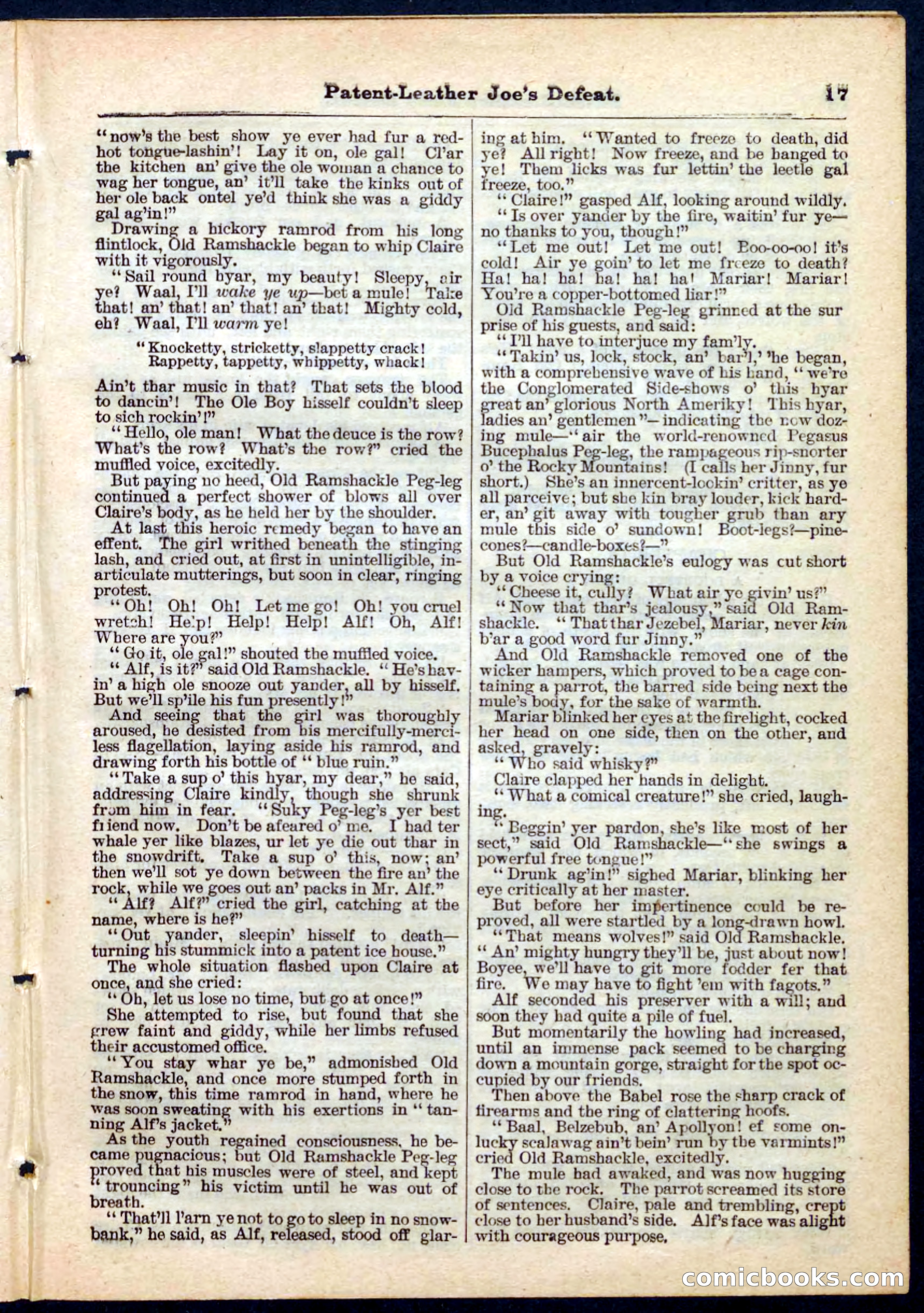 Beadle's Pocket Library No. 159 — page 17 of 32
