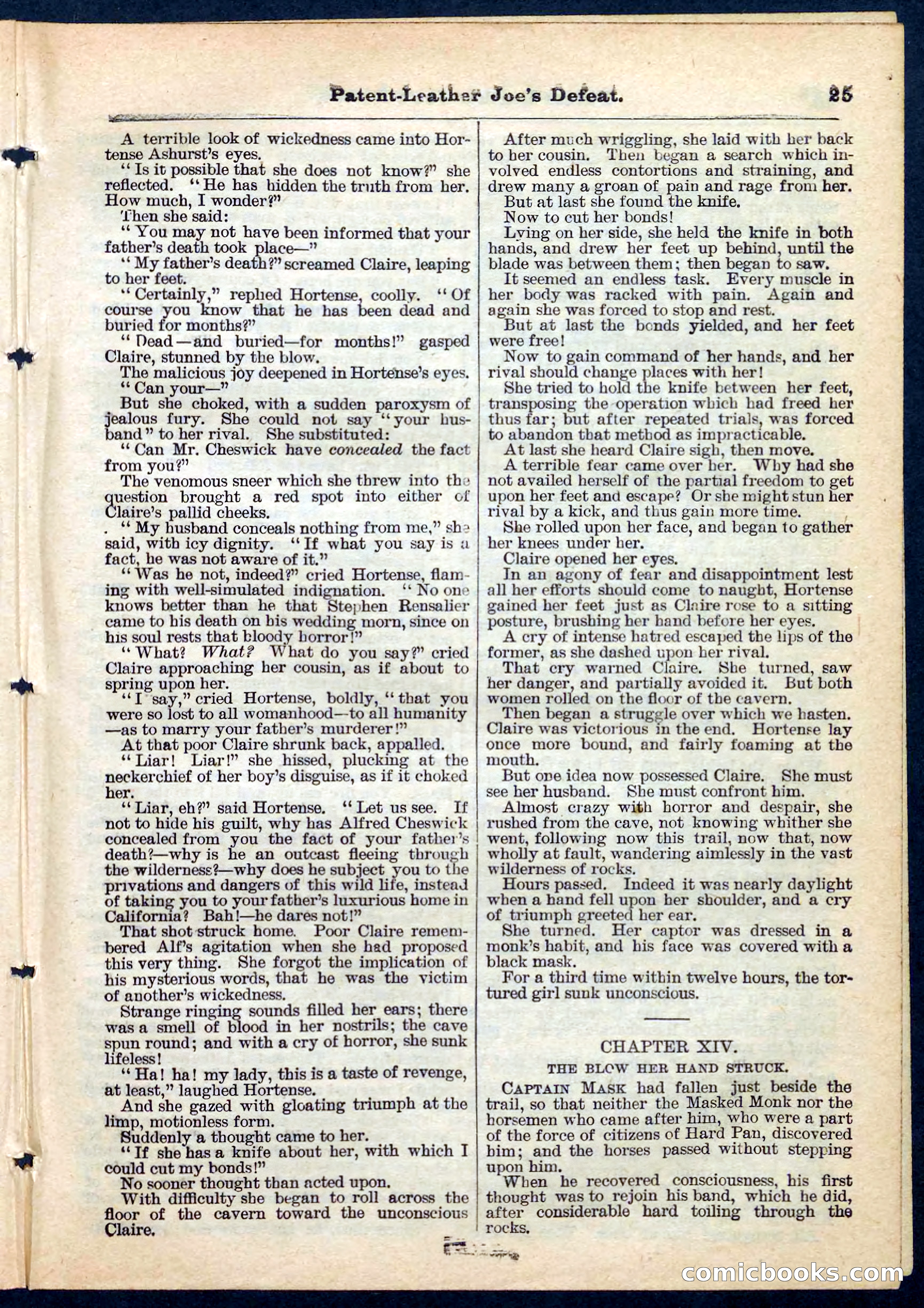 Beadle's Pocket Library No. 159 — page 25 of 32