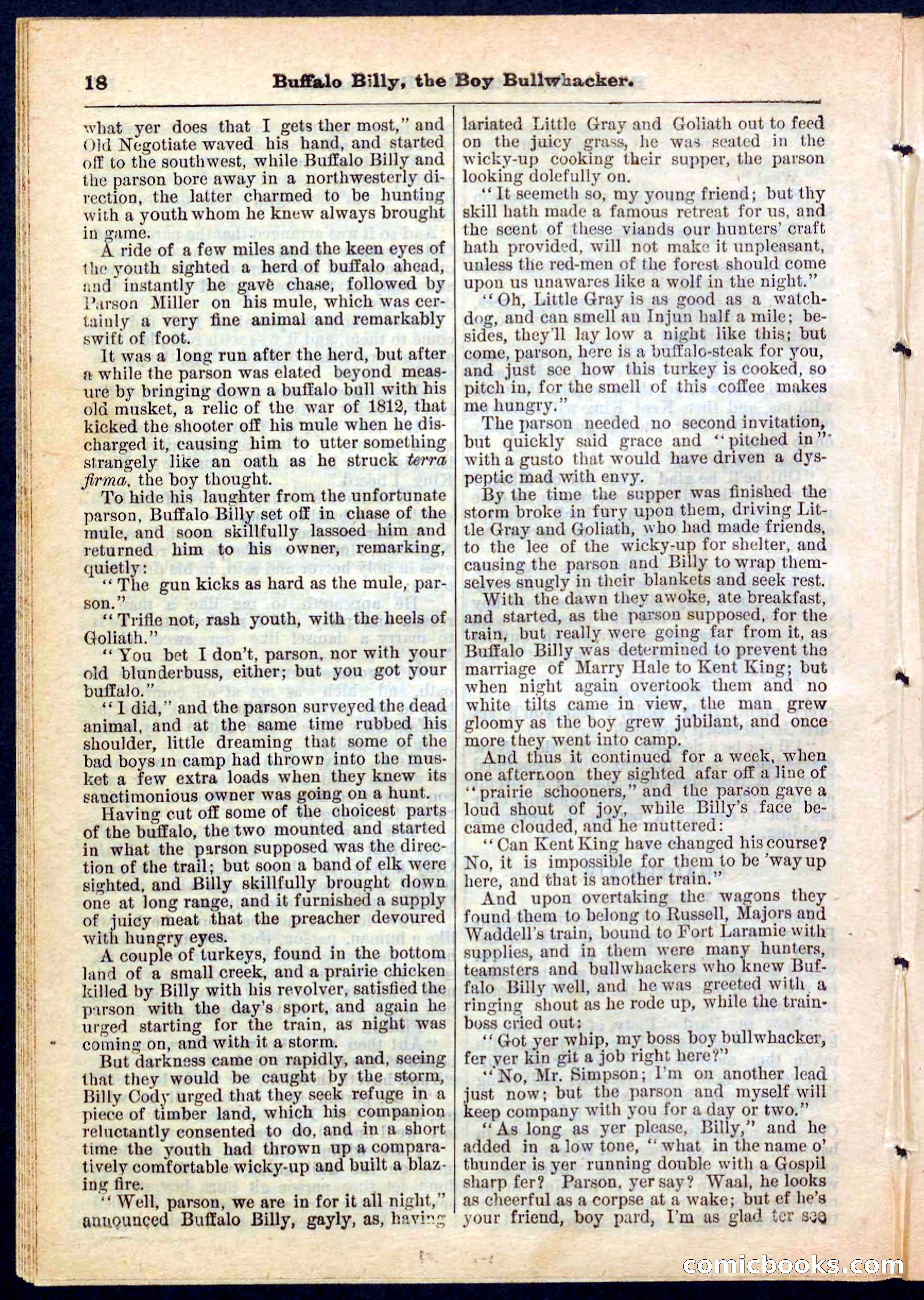 Beadle's Pocket Library No. 160 — page 18 of 32