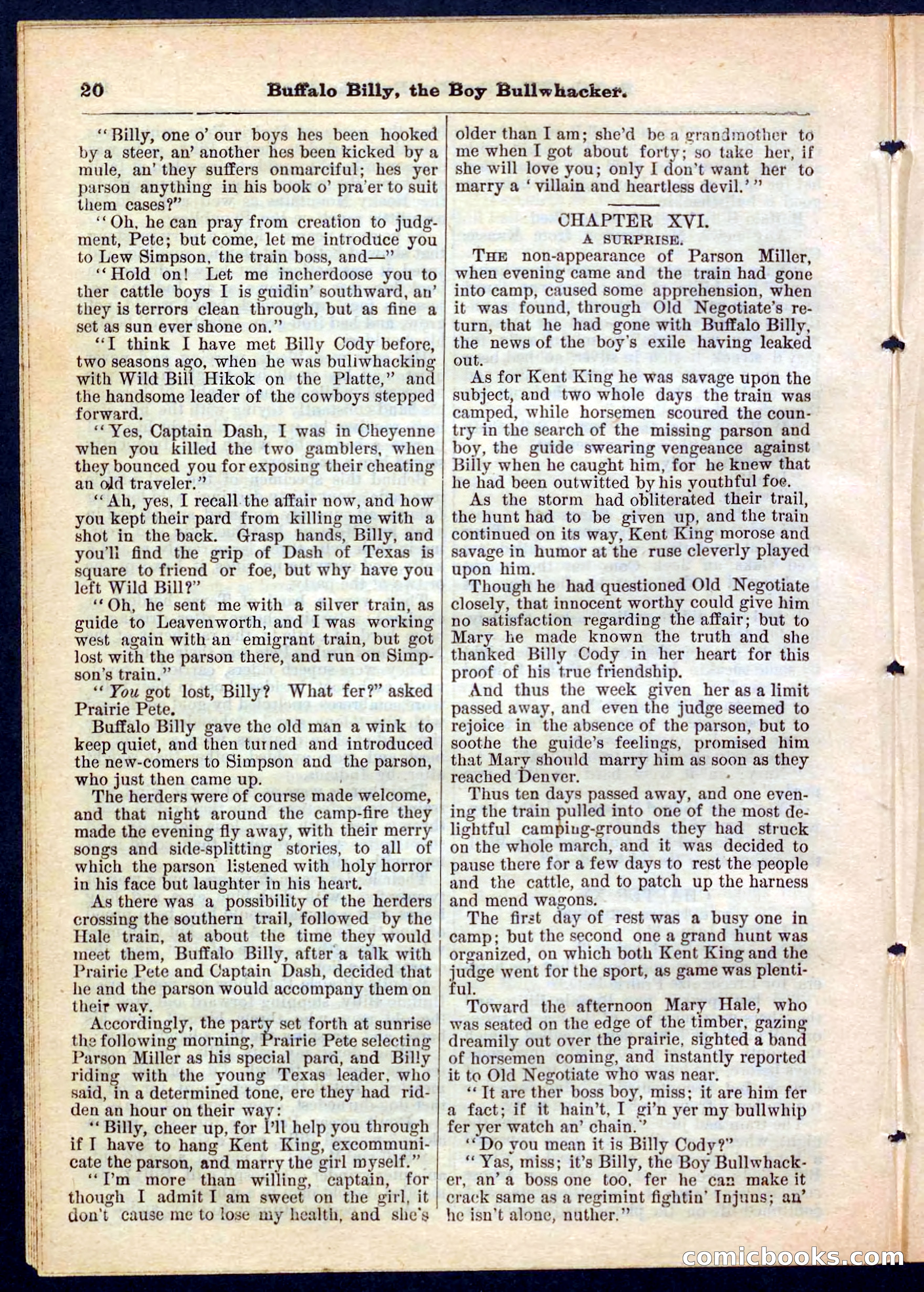 Beadle's Pocket Library No. 160 — page 20 of 32