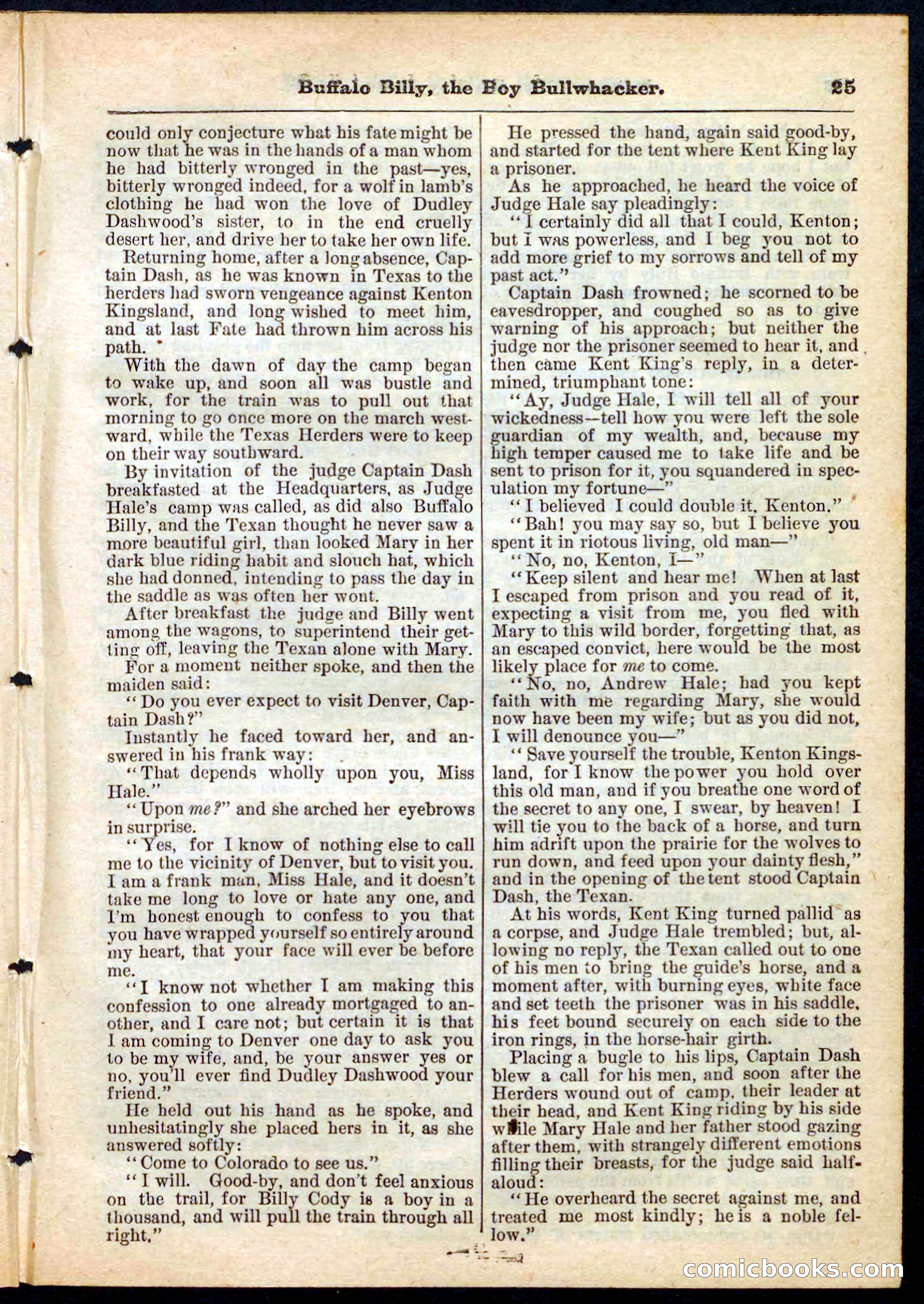 Beadle's Pocket Library No. 160 — page 25 of 32