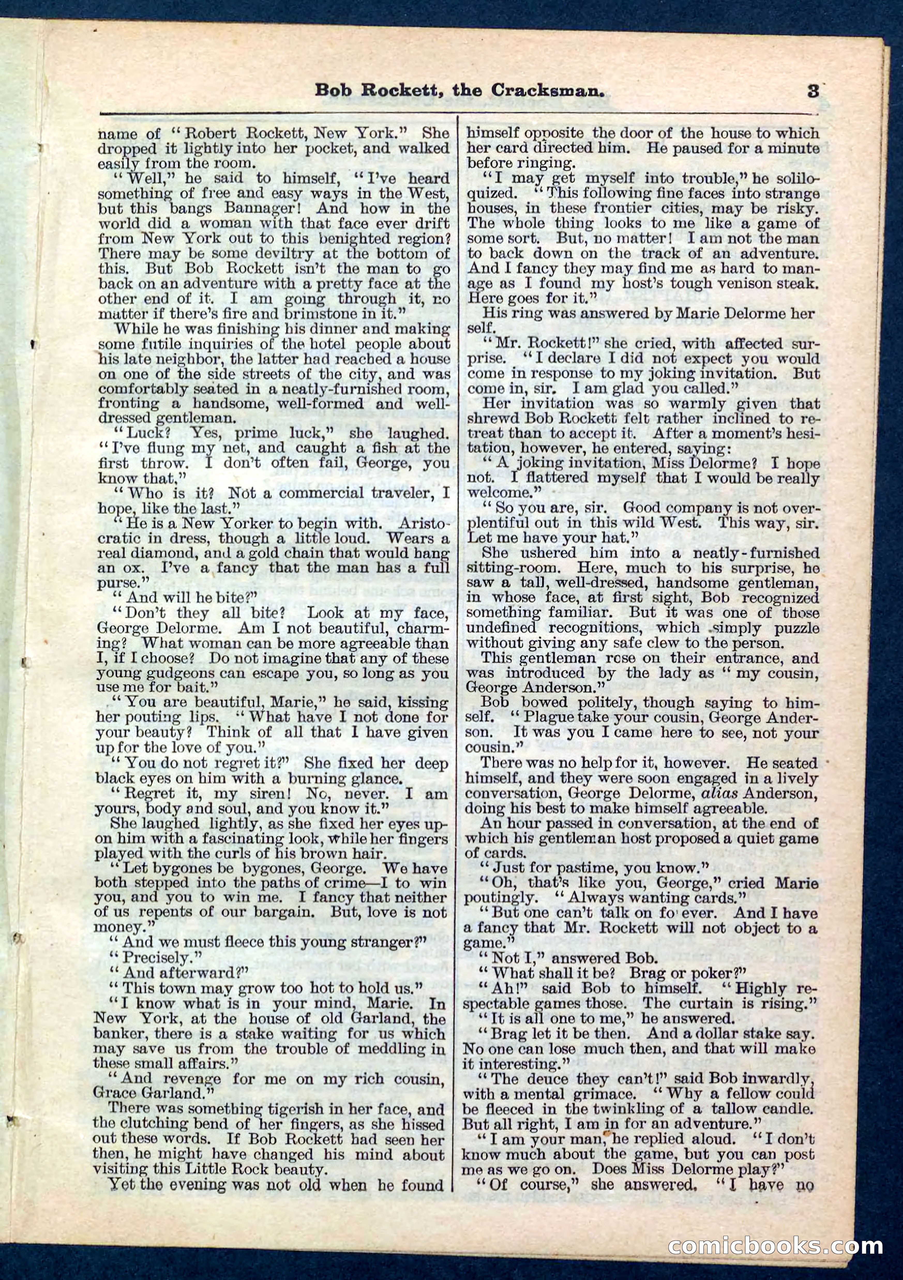 Beadle's Pocket Library No. 161 — page 3 of 32