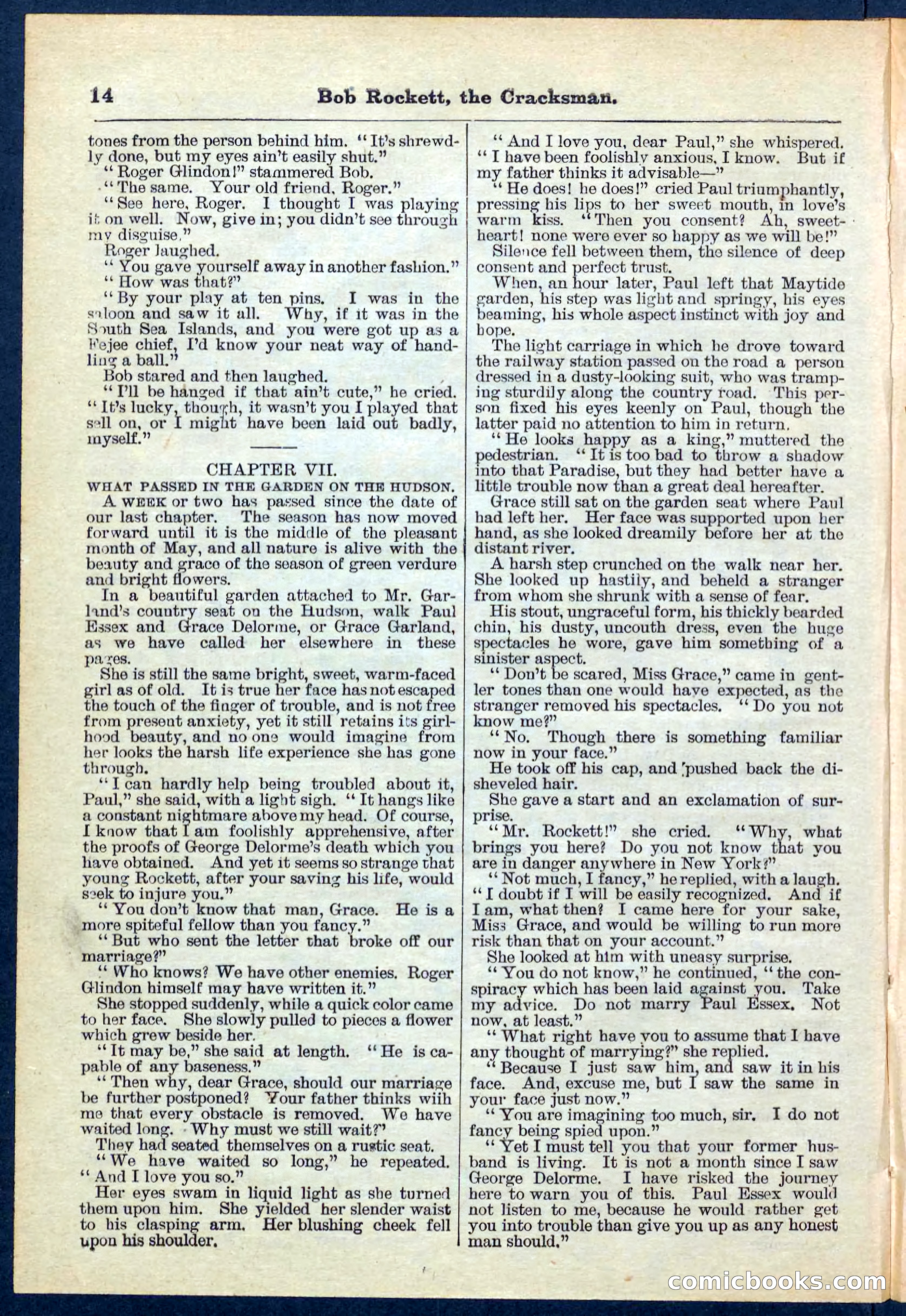 Beadle's Pocket Library No. 161 — page 14 of 32