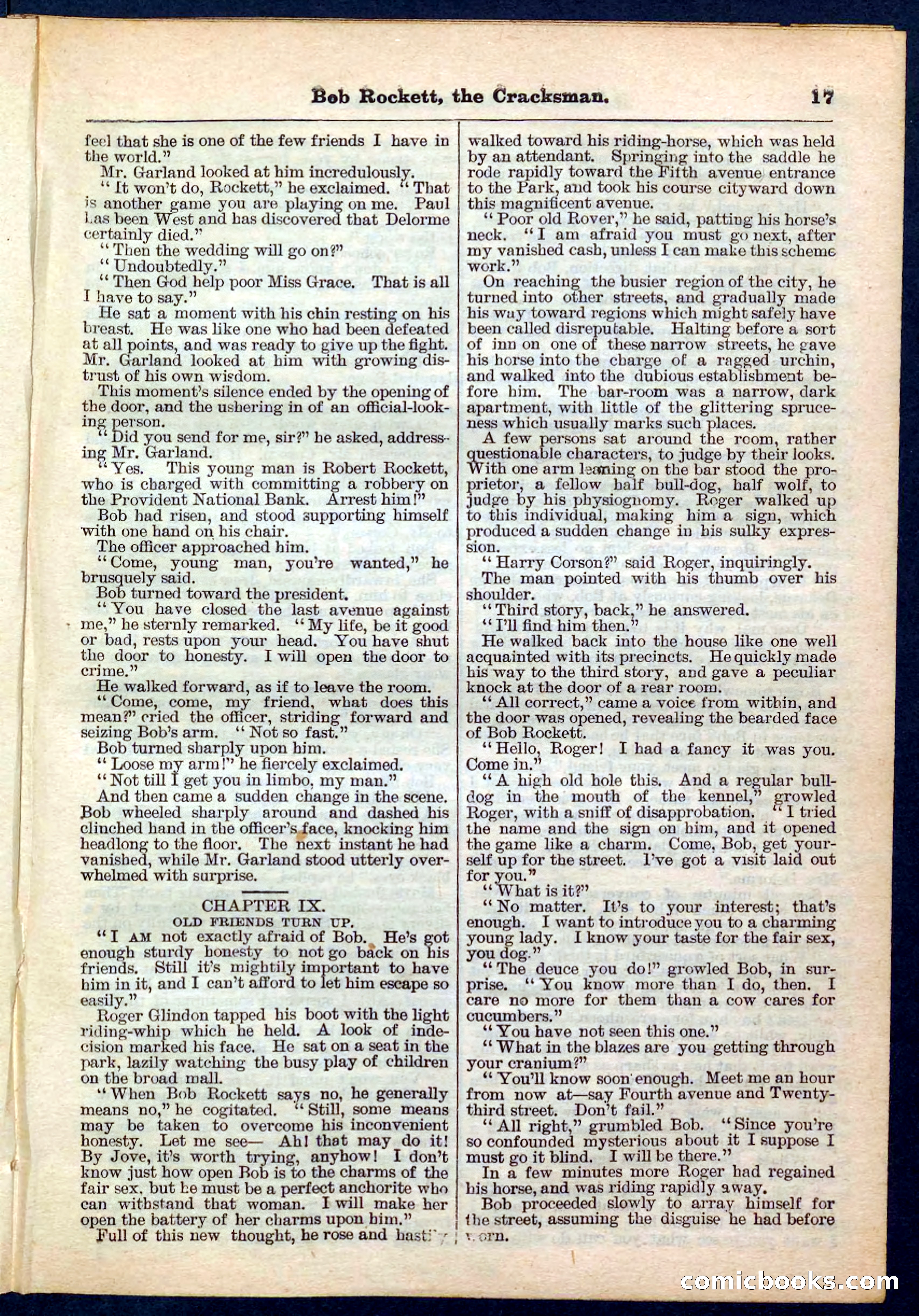 Beadle's Pocket Library No. 161 — page 17 of 32