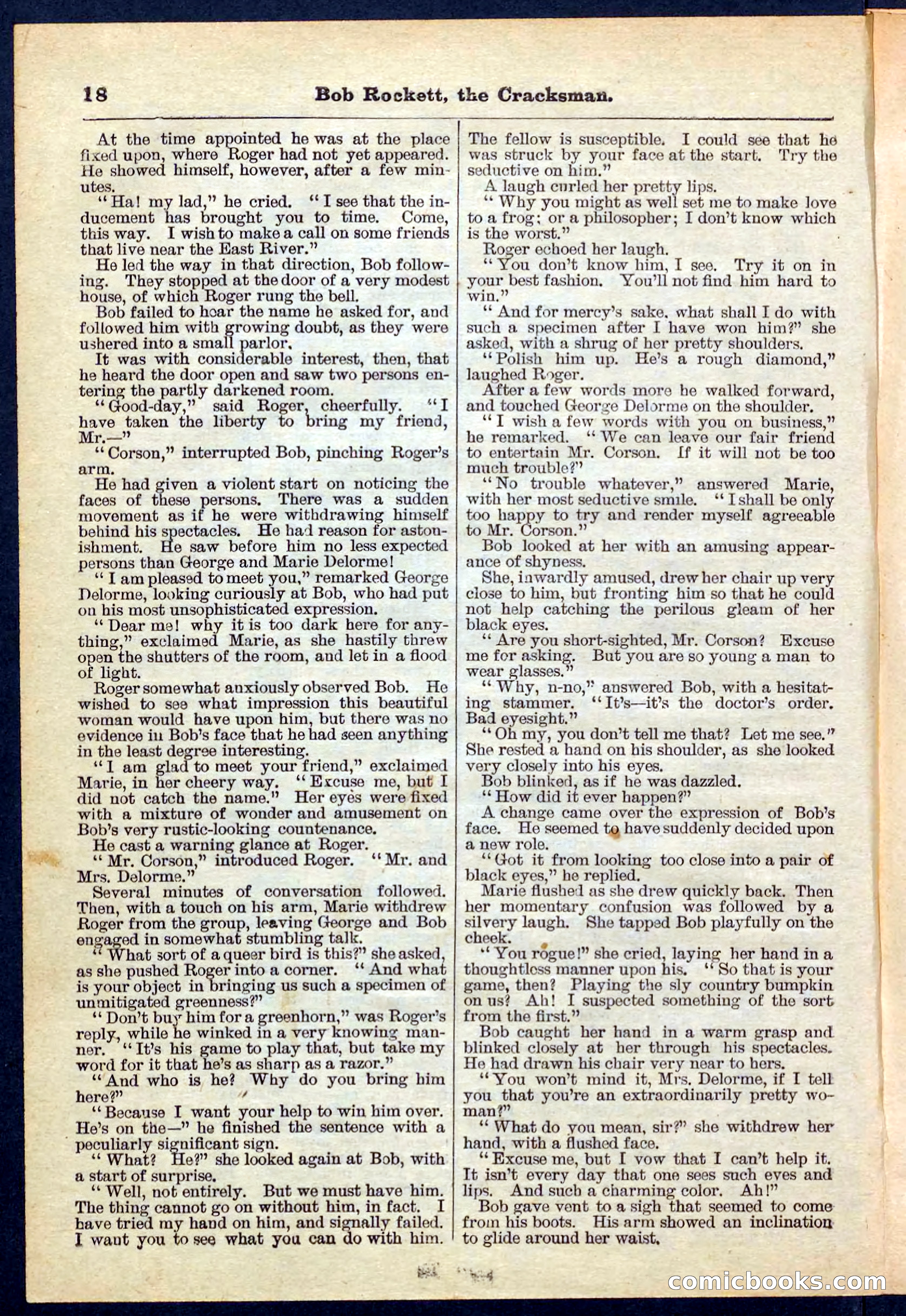 Beadle's Pocket Library No. 161 — page 18 of 32