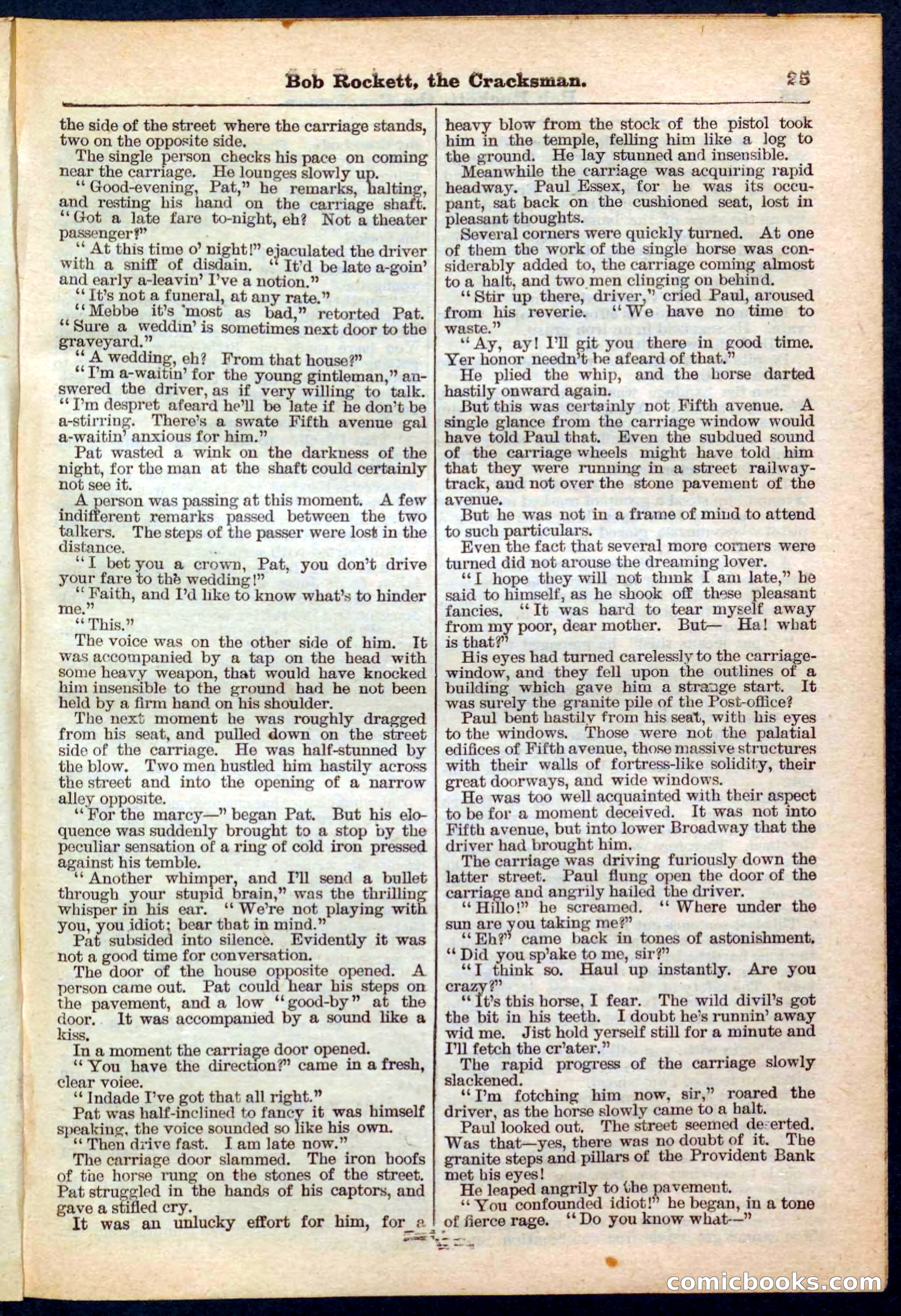 Beadle's Pocket Library No. 161 — page 25 of 32