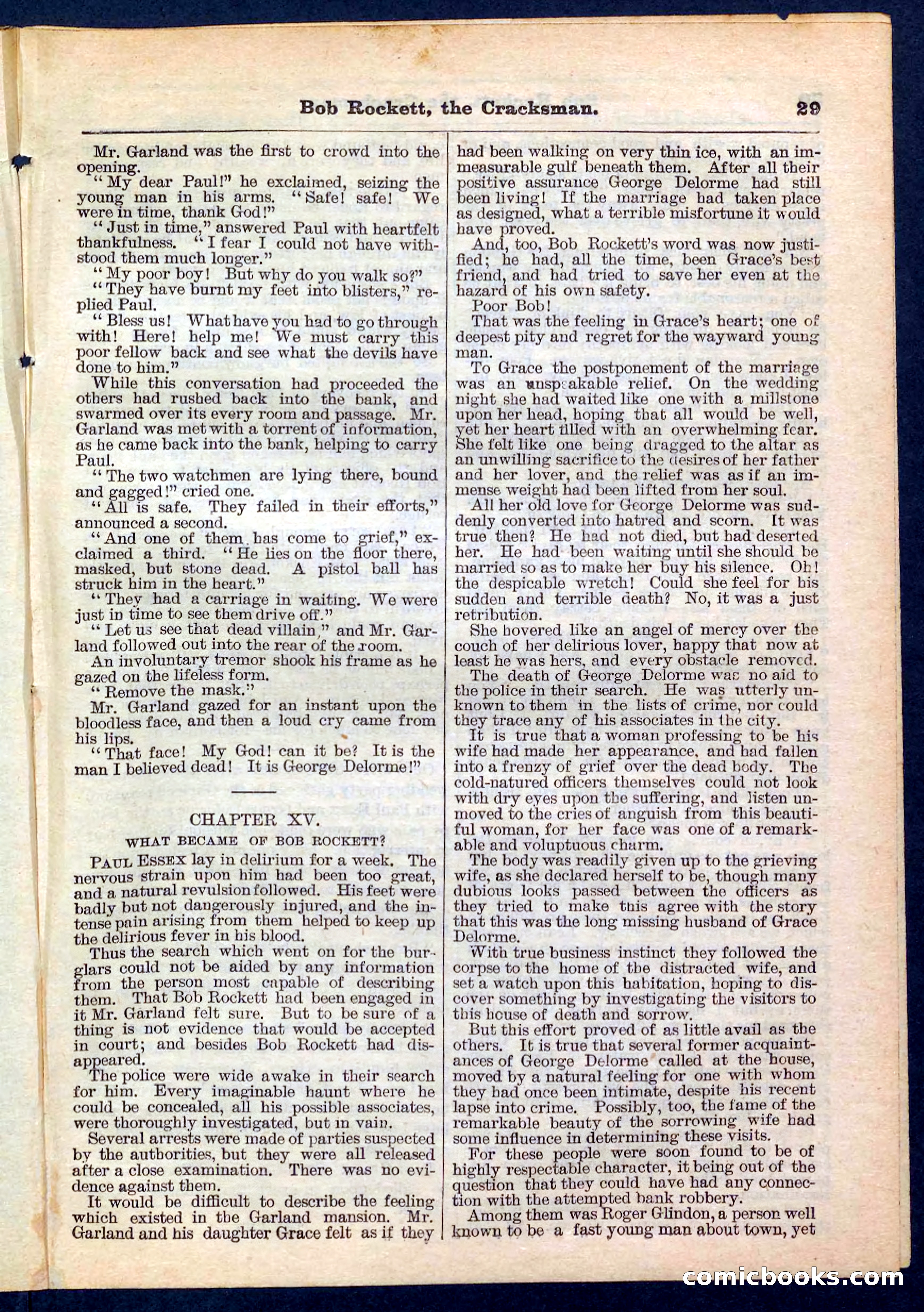 Beadle's Pocket Library No. 161 — page 29 of 32