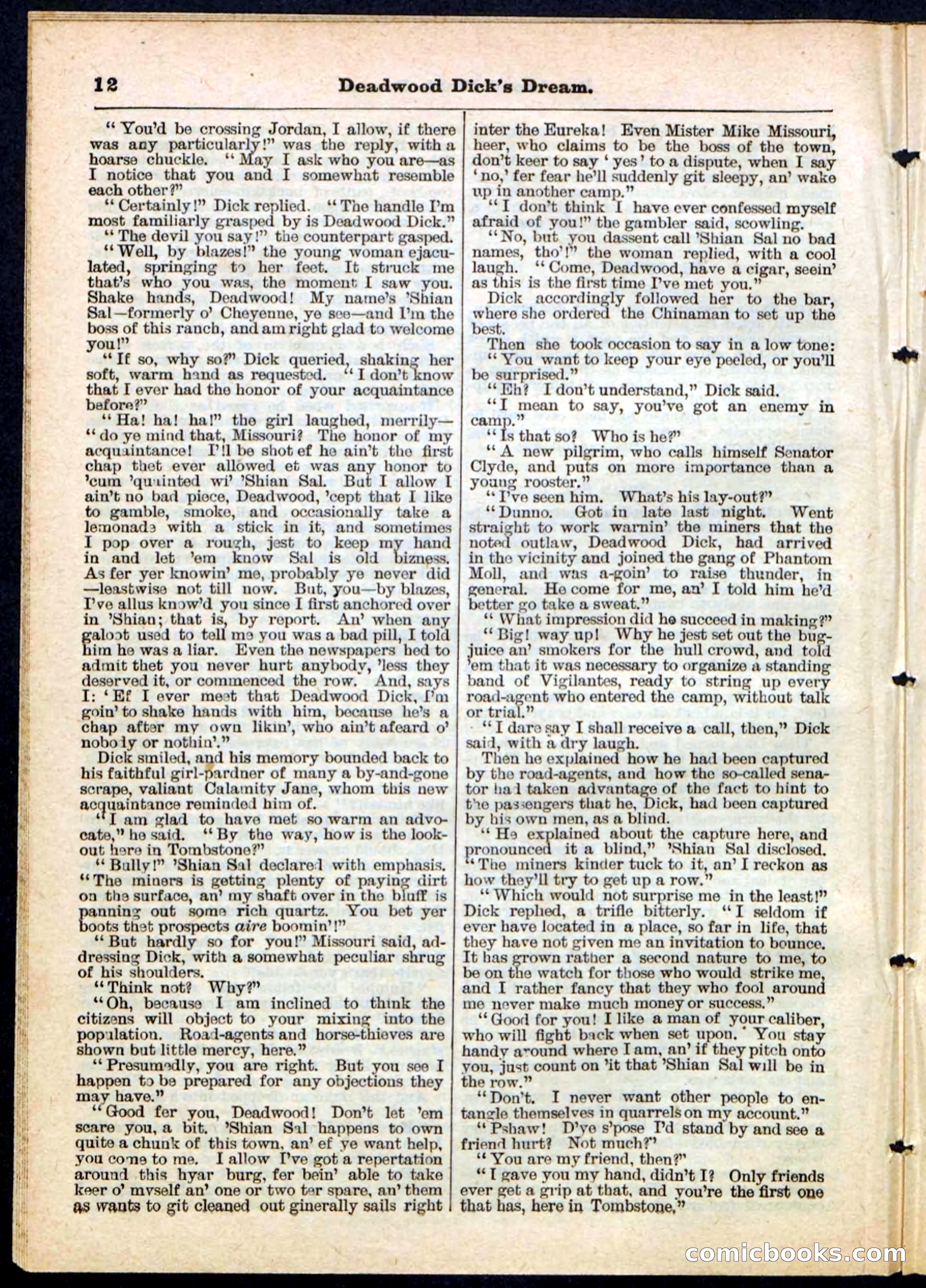 Beadle's Pocket Library No. 163 — page 12 of 32