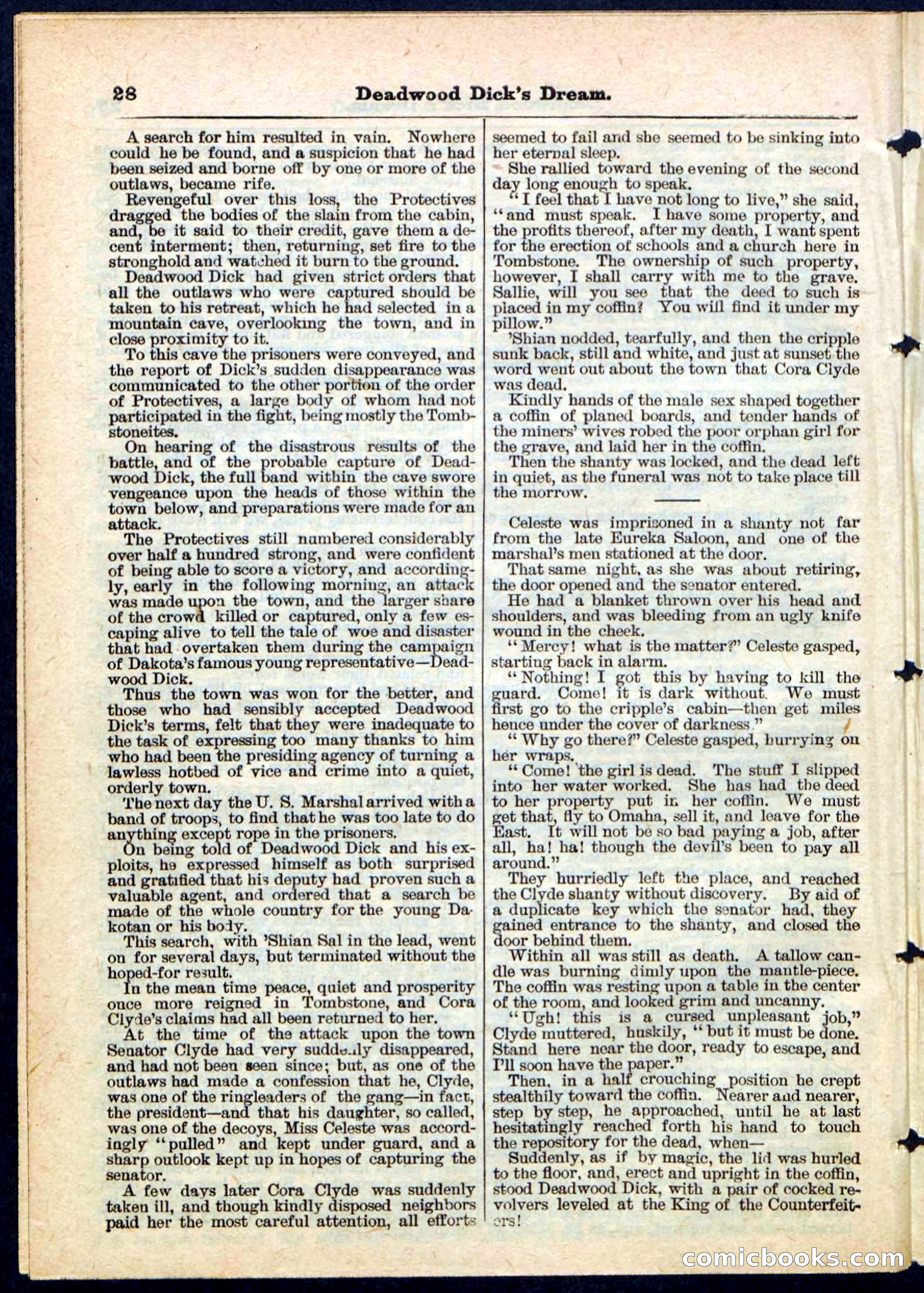 Beadle's Pocket Library No. 163 — page 28 of 32