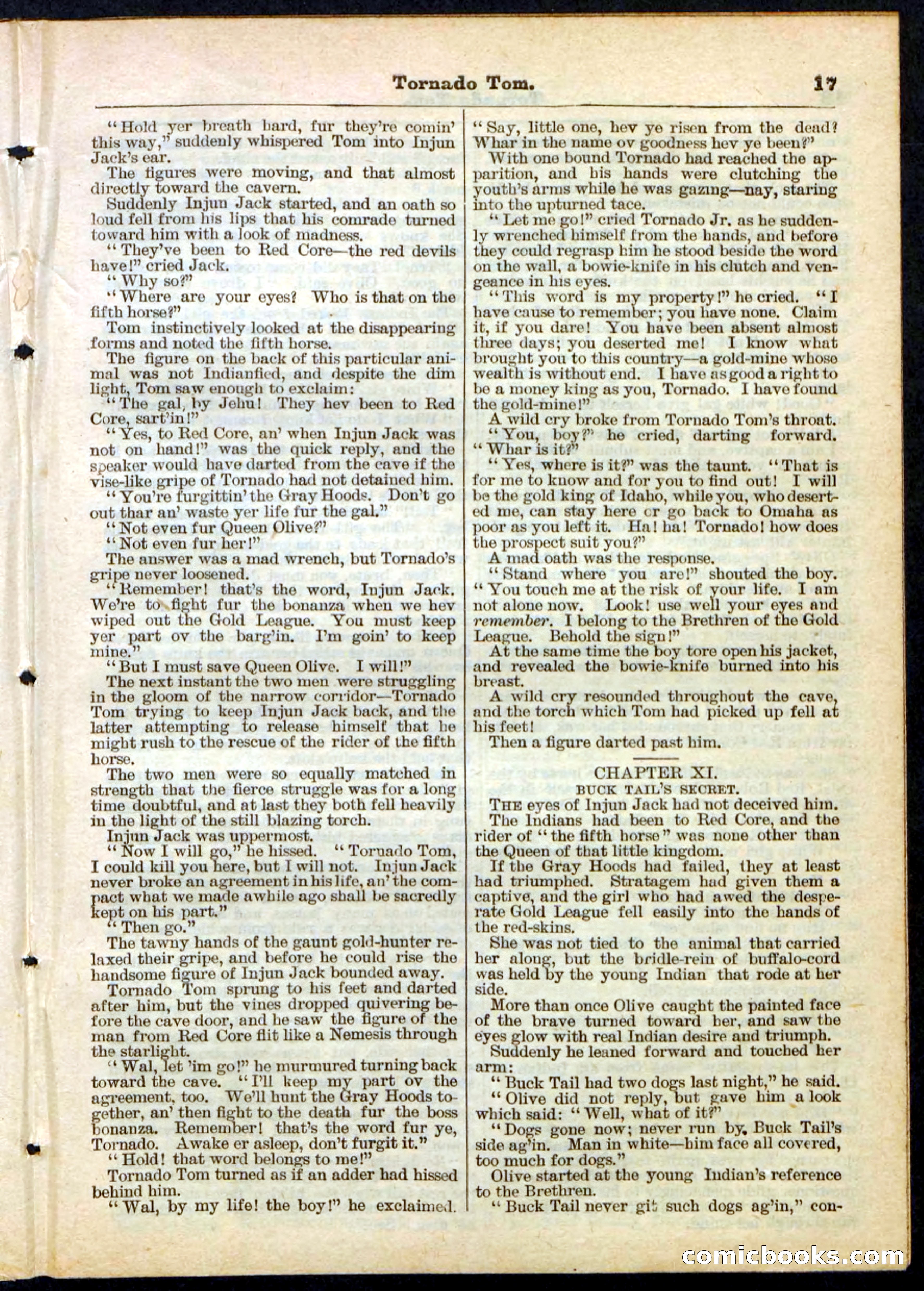 Beadle's Pocket Library No. 164 — page 17 of 32