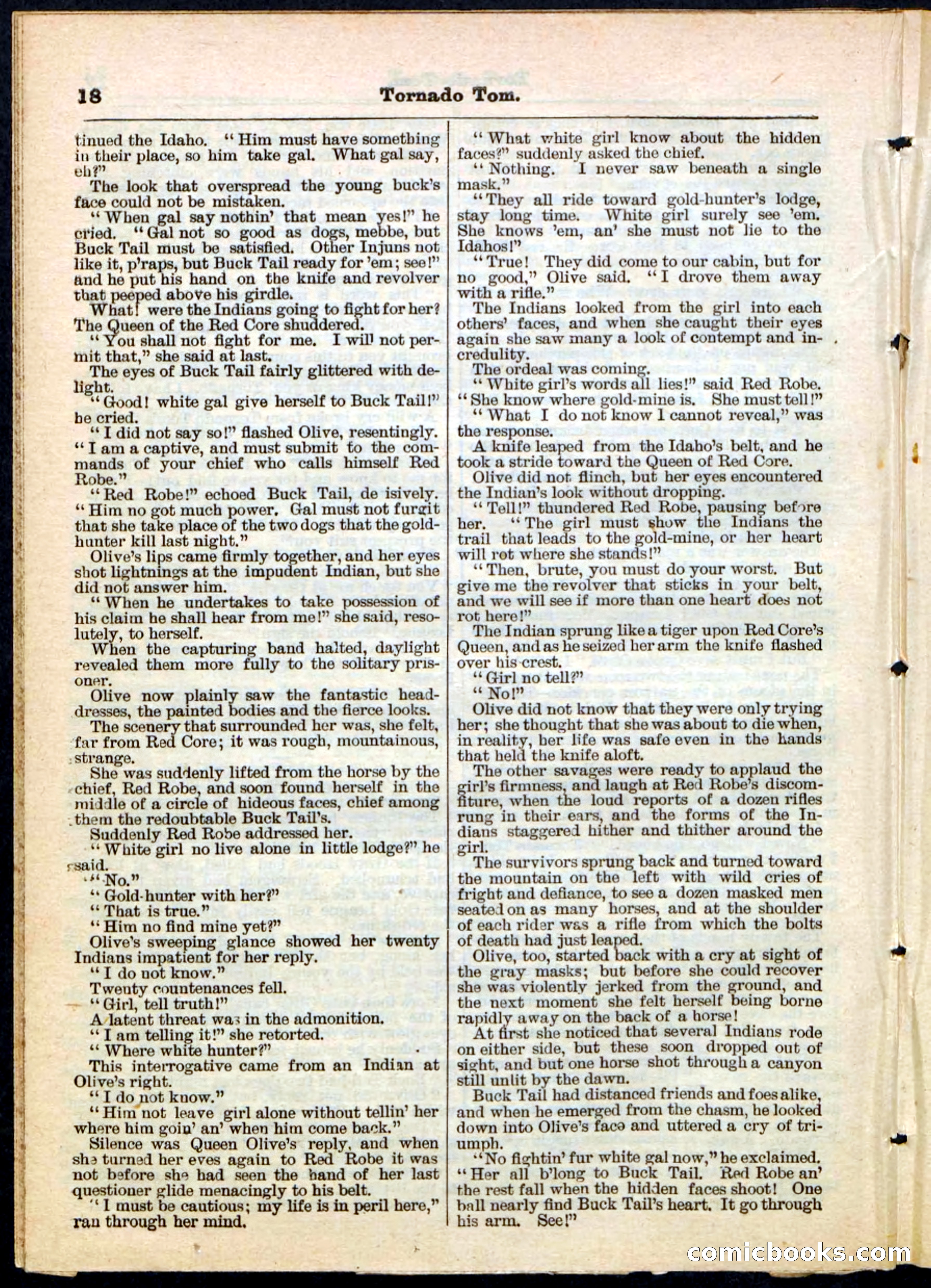 Beadle's Pocket Library No. 164 — page 18 of 32