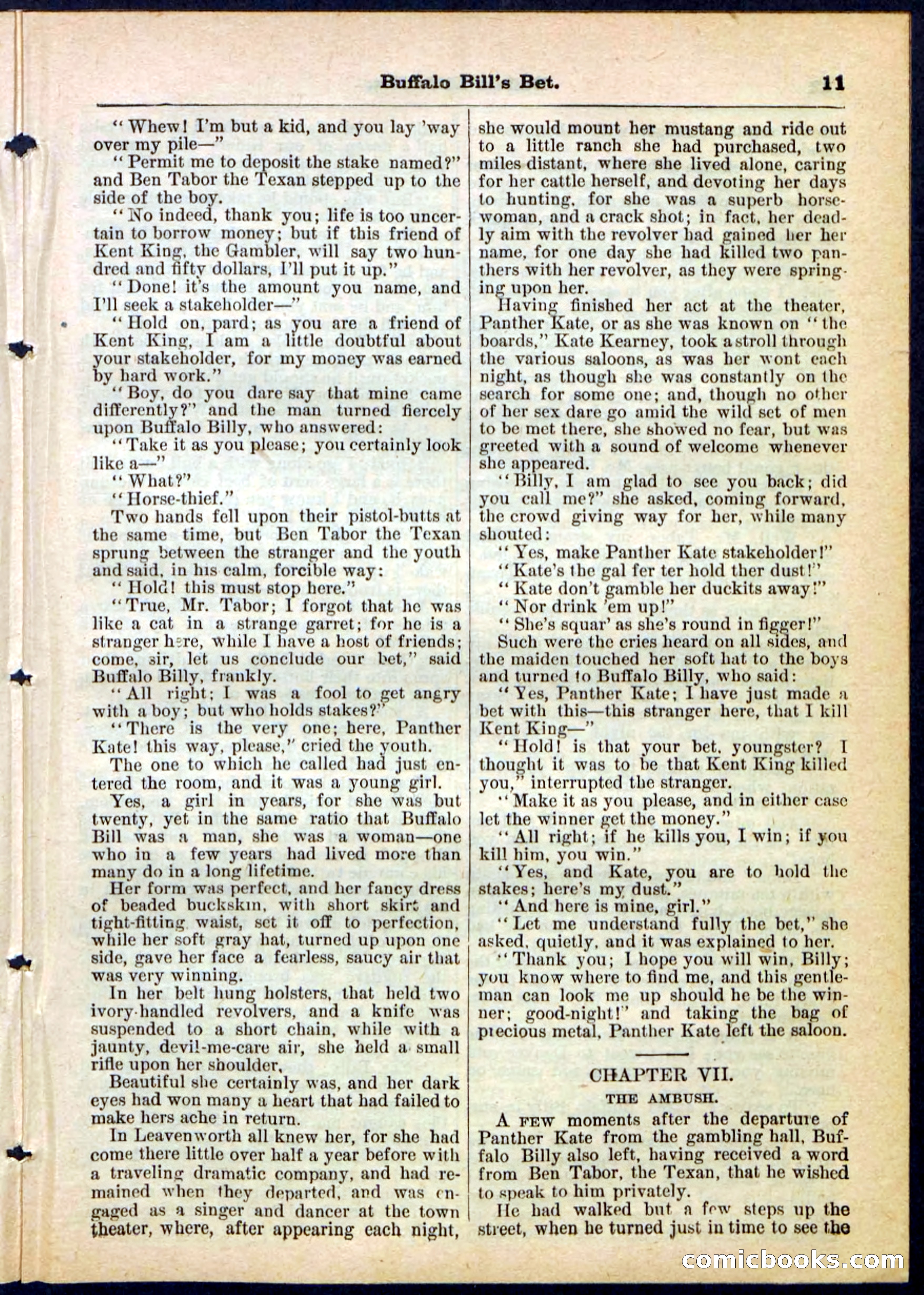 Beadle's Pocket Library No. 165 — page 11 of 32