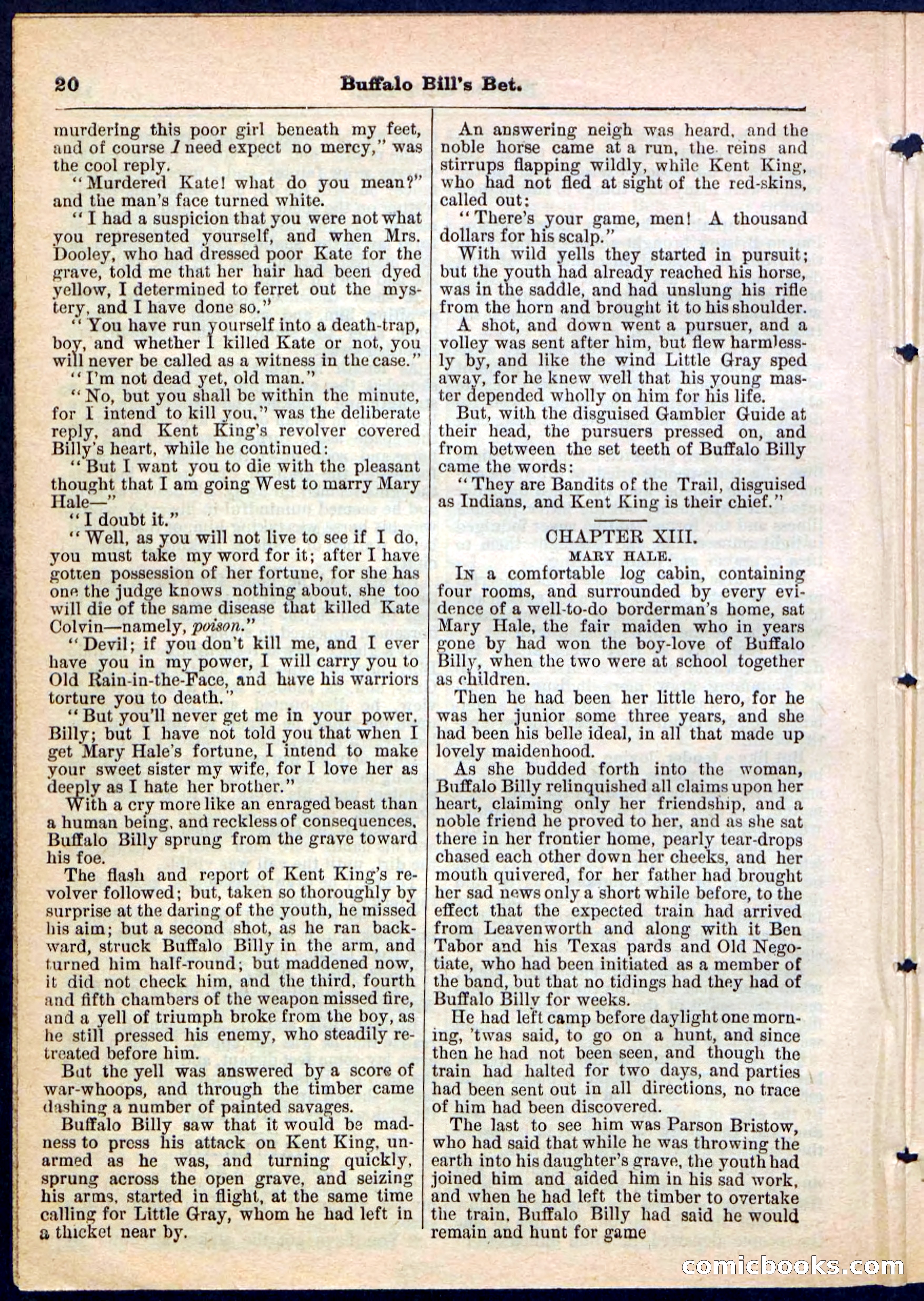 Beadle's Pocket Library No. 165 — page 20 of 32