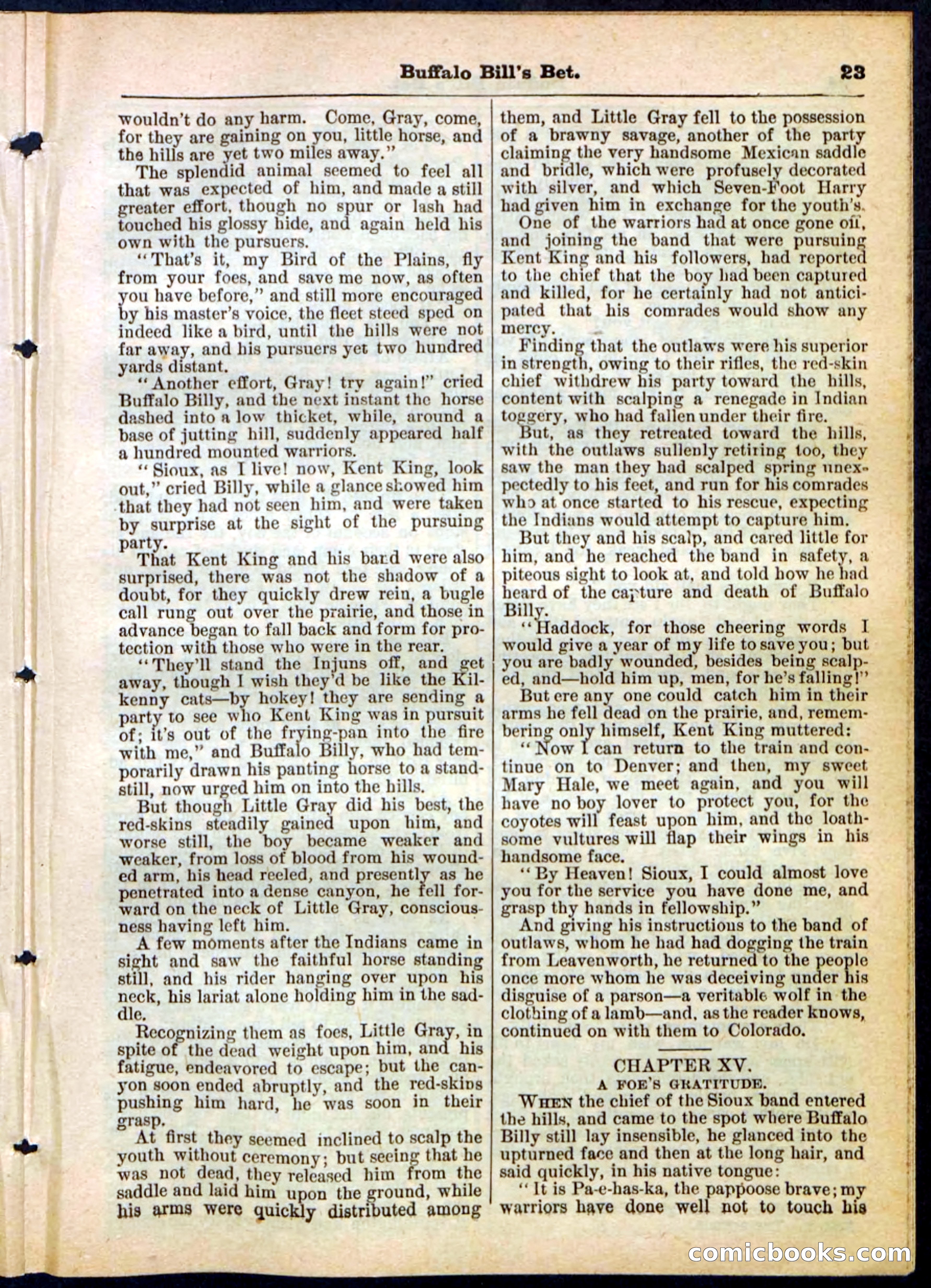 Beadle's Pocket Library No. 165 — page 23 of 32