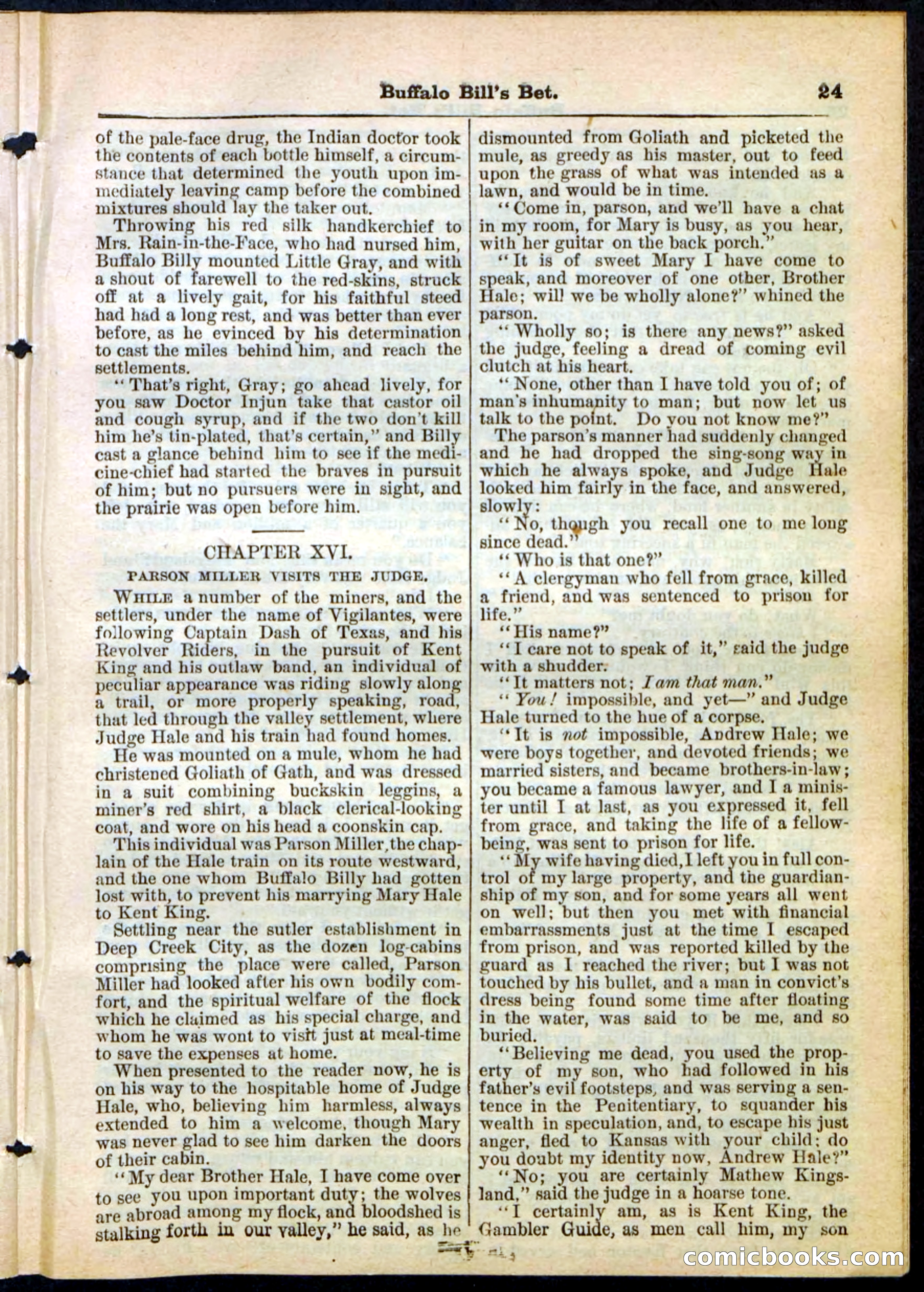 Beadle's Pocket Library No. 165 — page 25 of 32