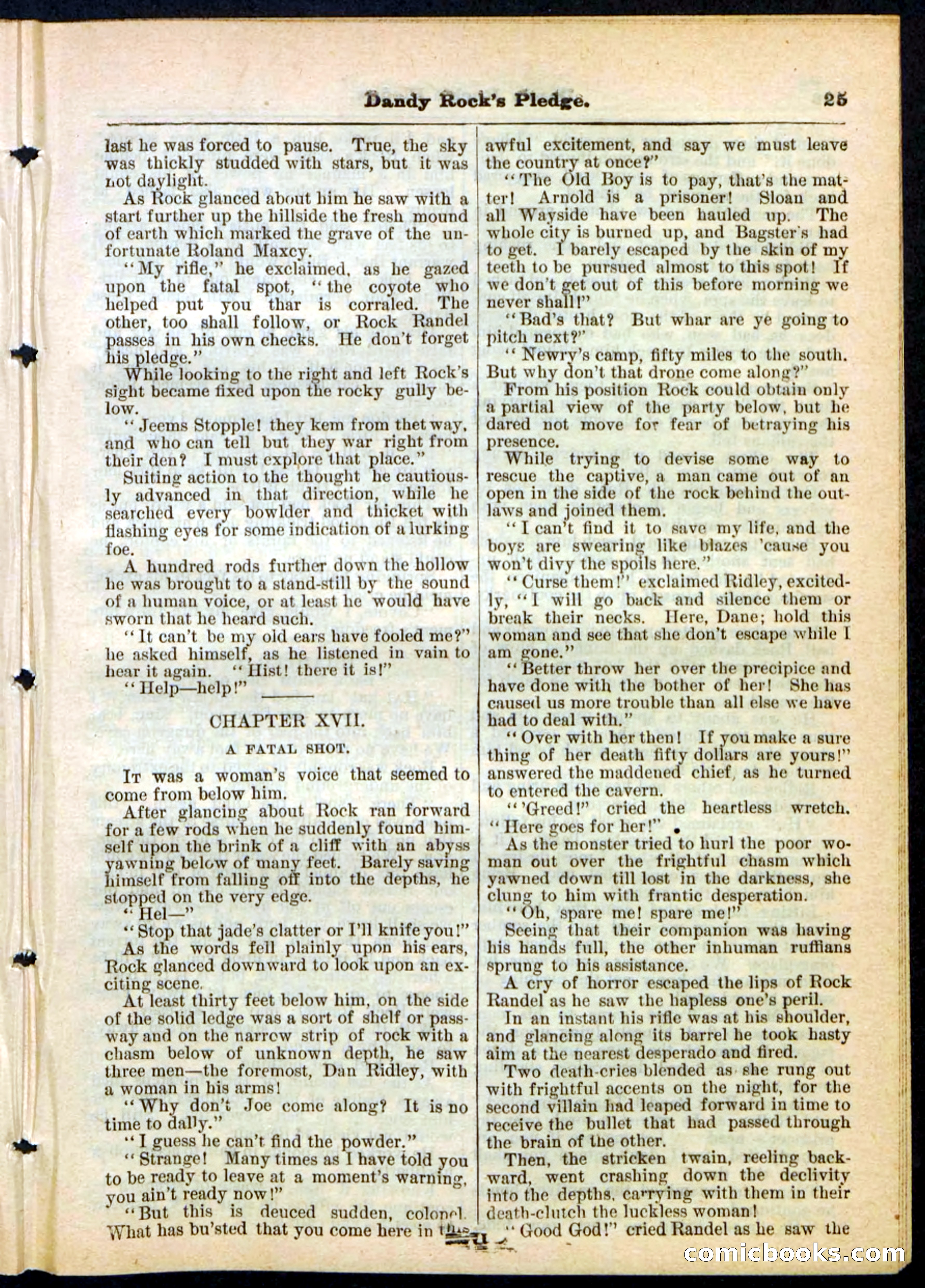 Beadle's Pocket Library No. 167 — page 25 of 32