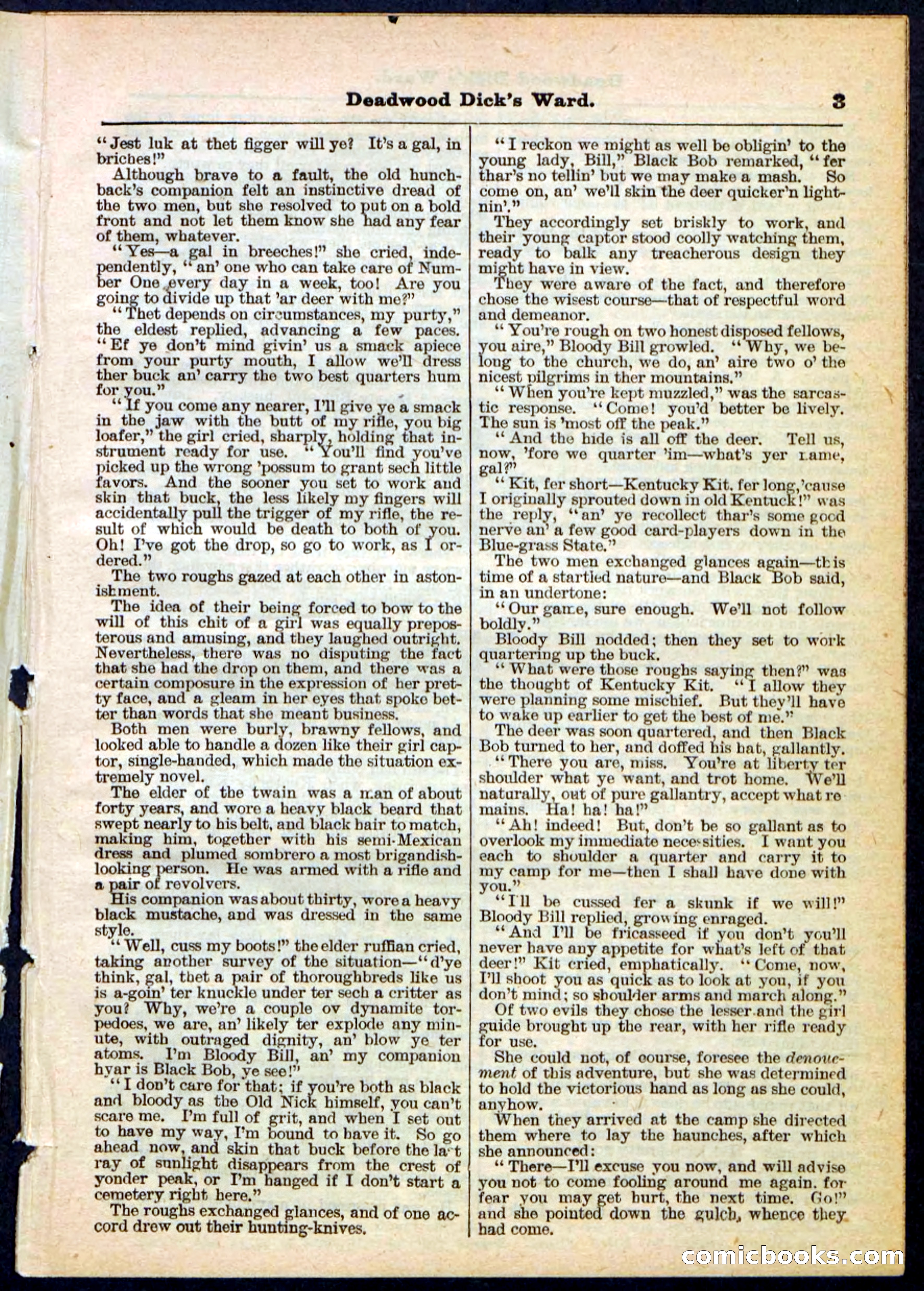 Beadle's Pocket Library No. 168 — page 3 of 32