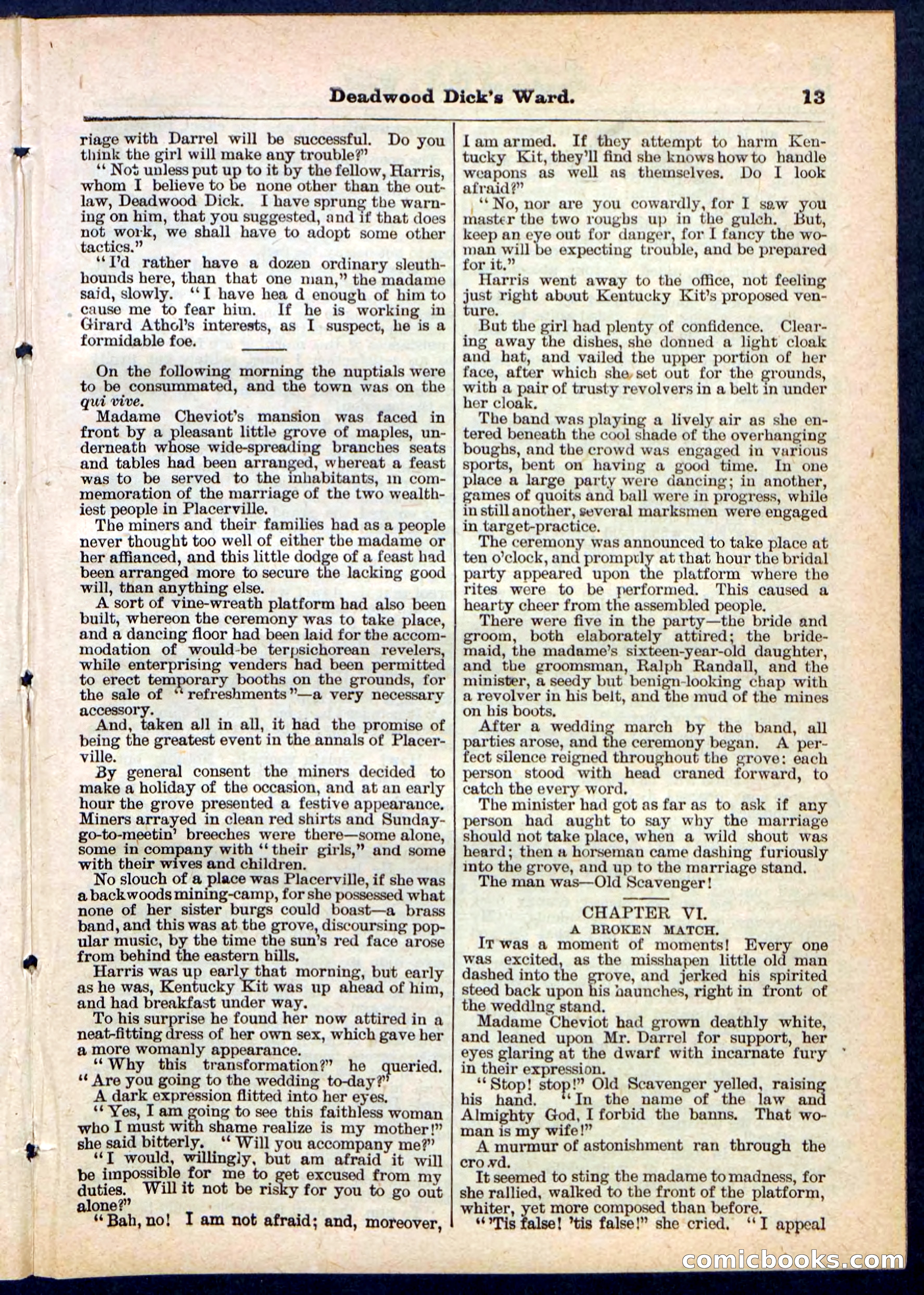 Beadle's Pocket Library No. 168 — page 13 of 32