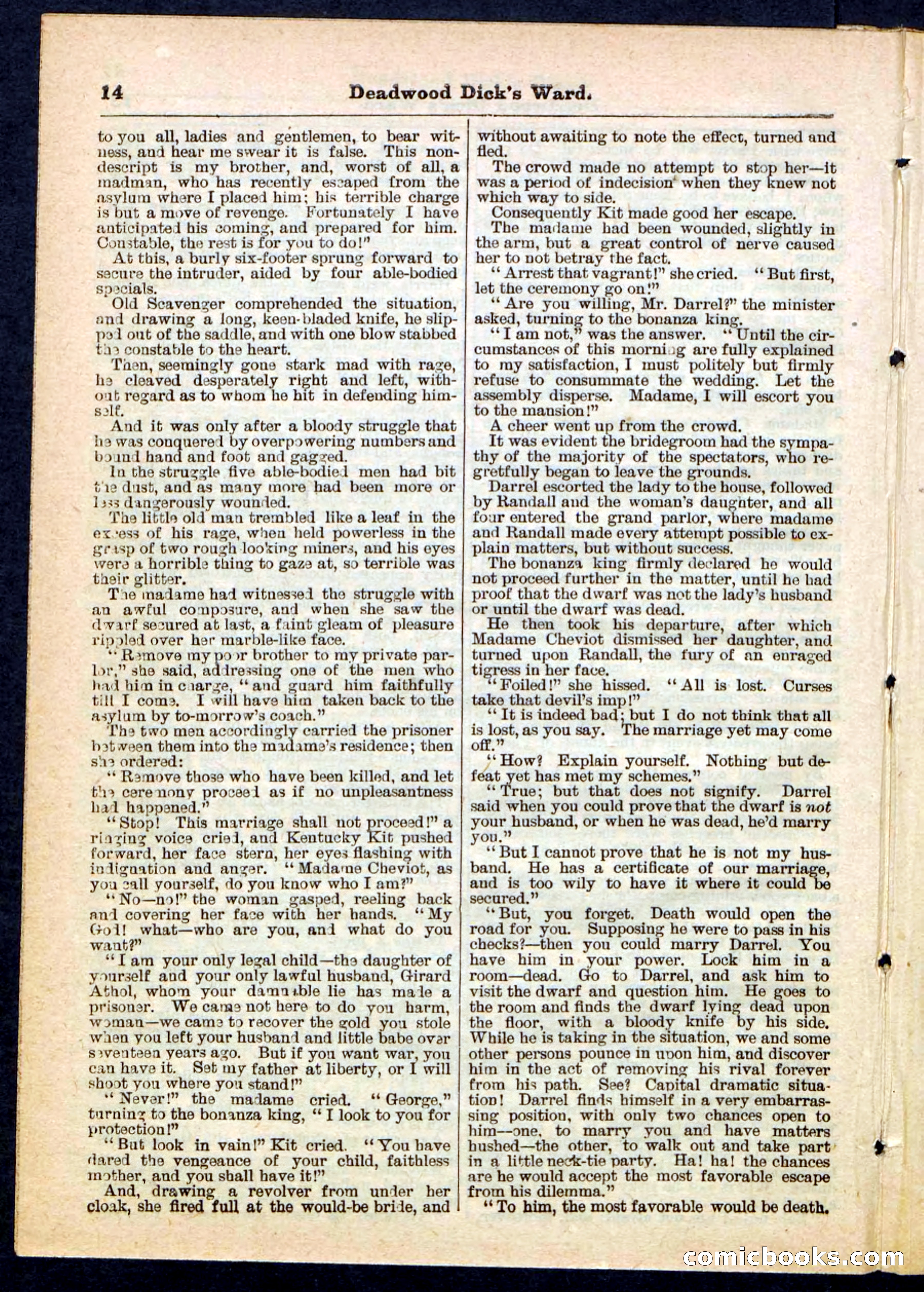 Beadle's Pocket Library No. 168 — page 14 of 32
