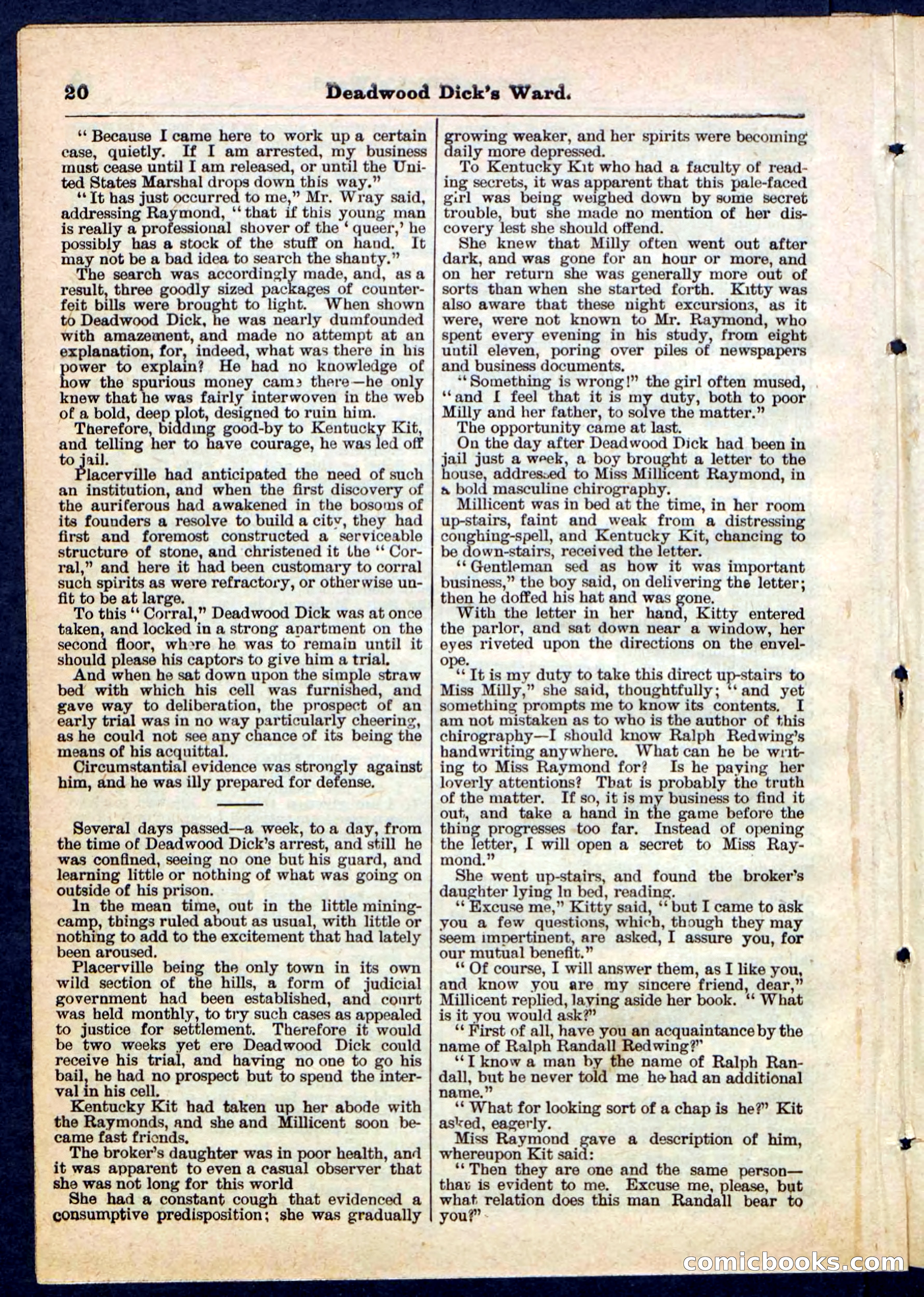 Beadle's Pocket Library No. 168 — page 20 of 32