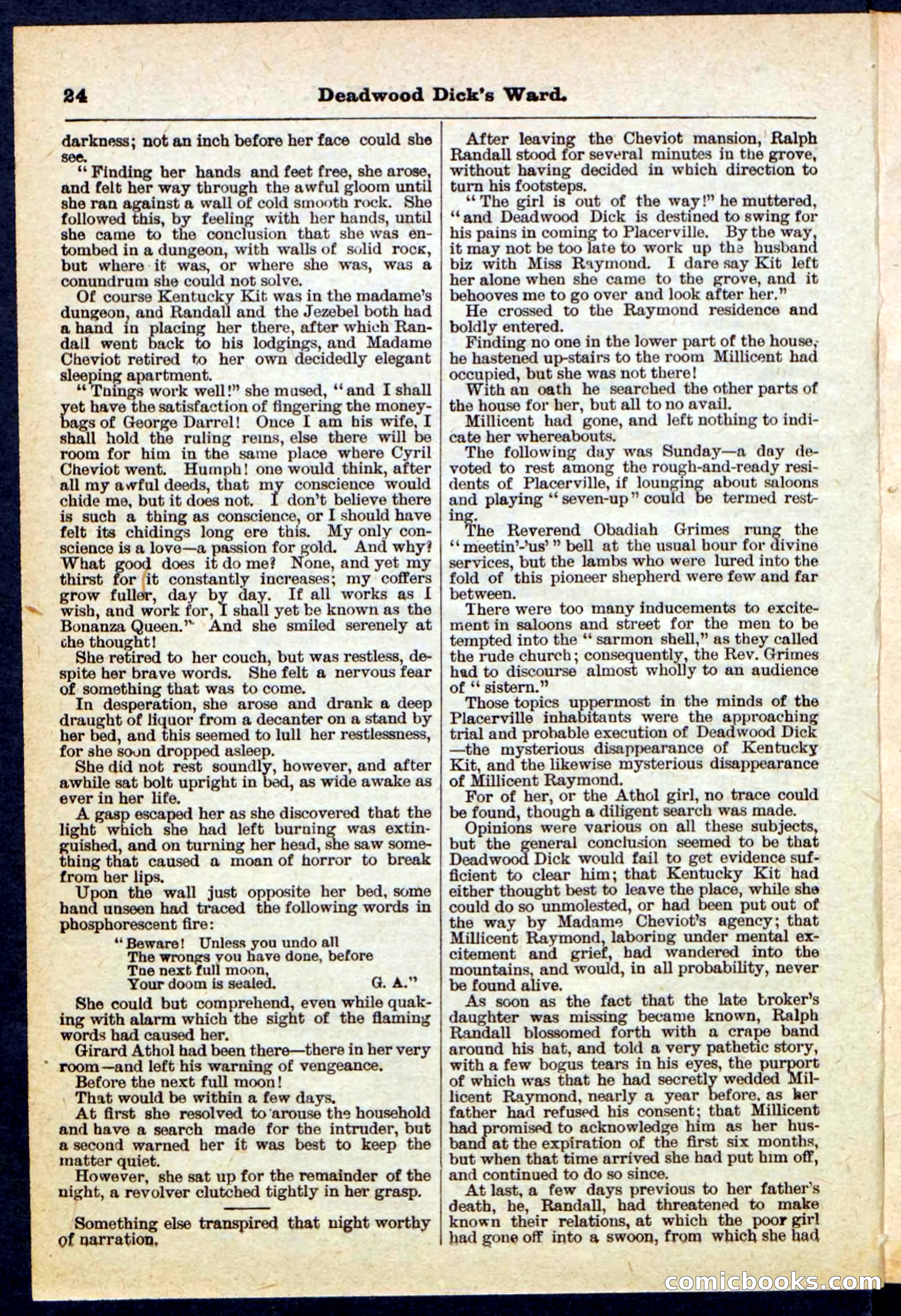 Beadle's Pocket Library No. 168 — page 24 of 32