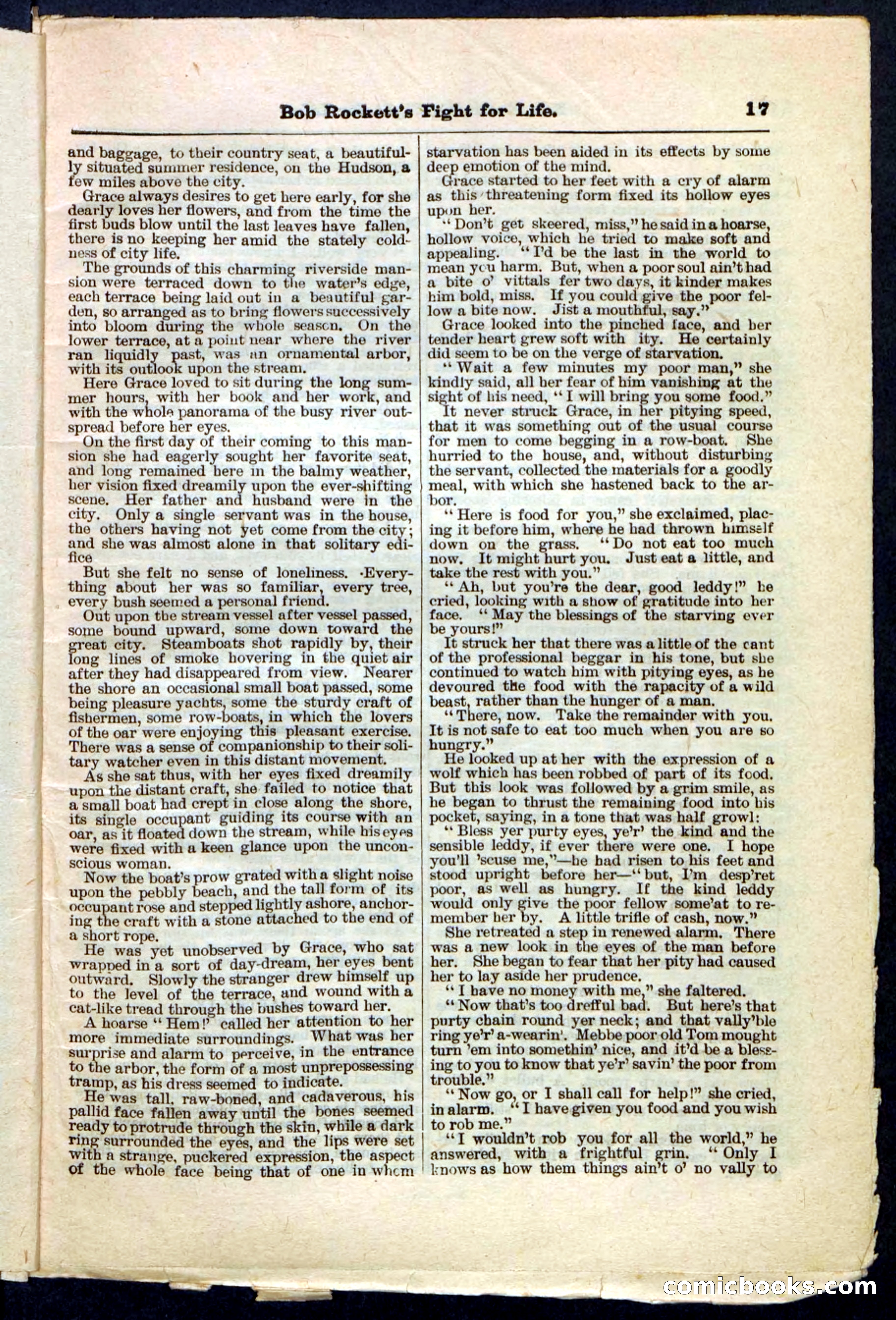Beadle's Pocket Library No. 170 — page 17 of 32