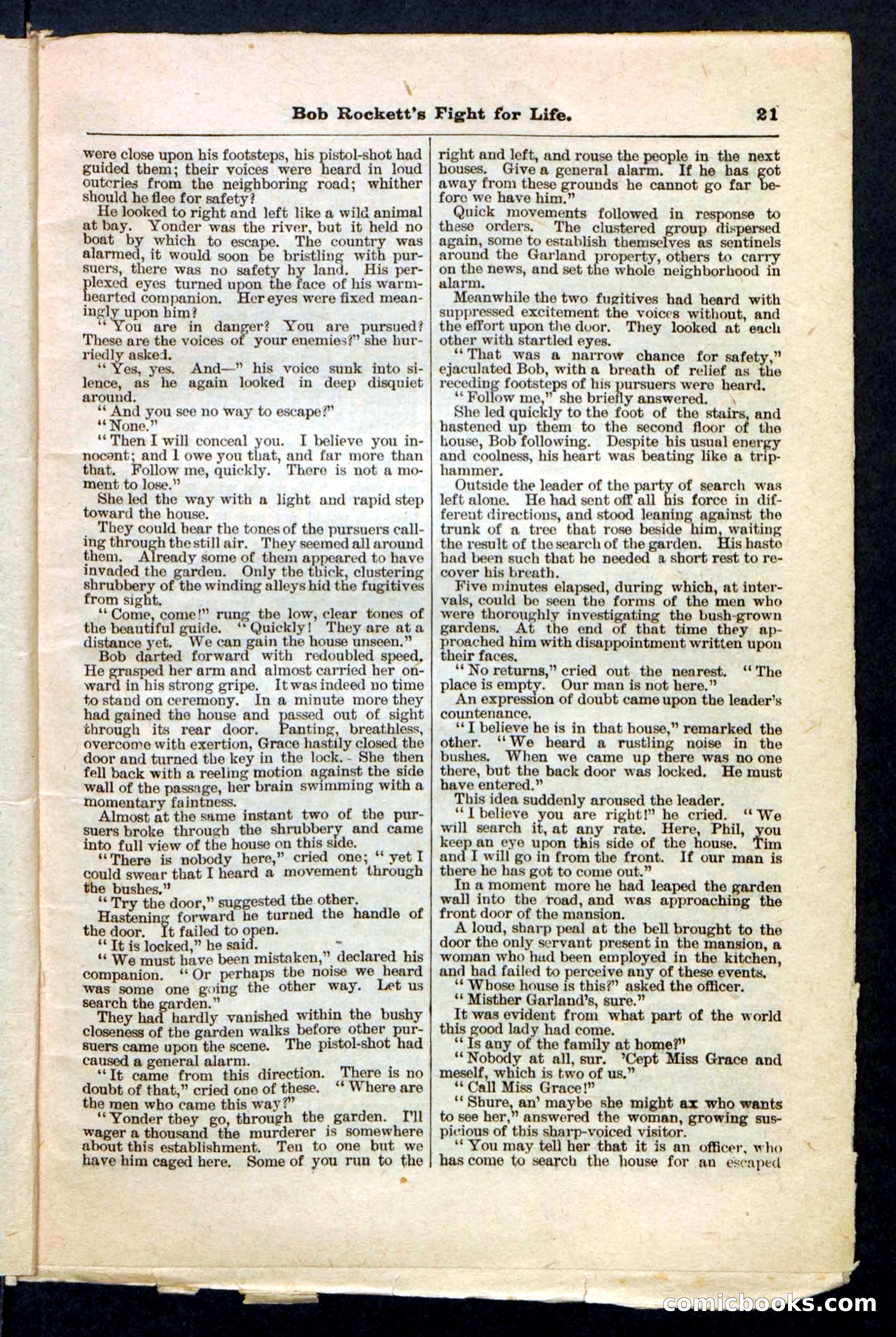 Beadle's Pocket Library No. 170 — page 21 of 32