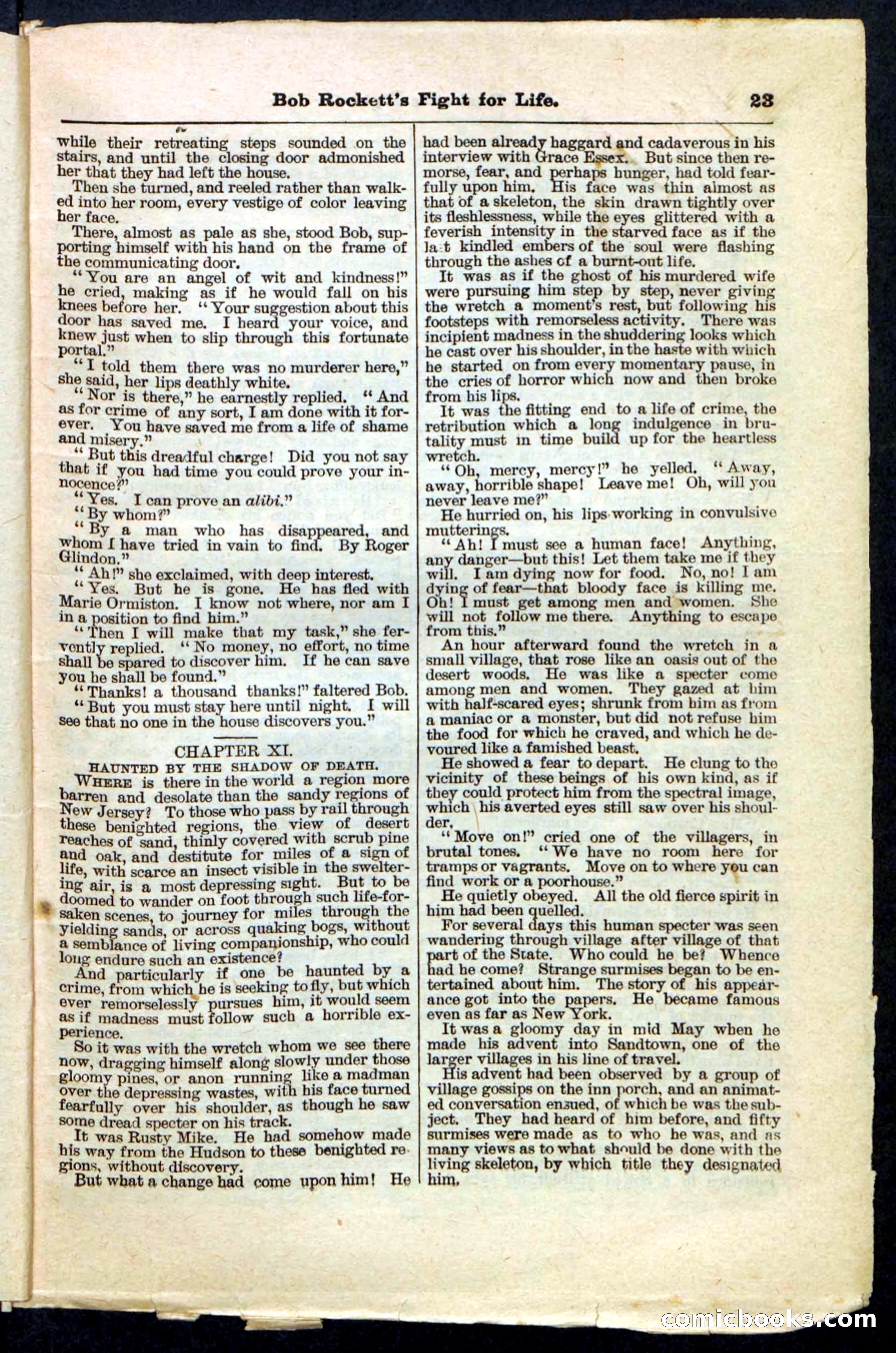 Beadle's Pocket Library No. 170 — page 23 of 32