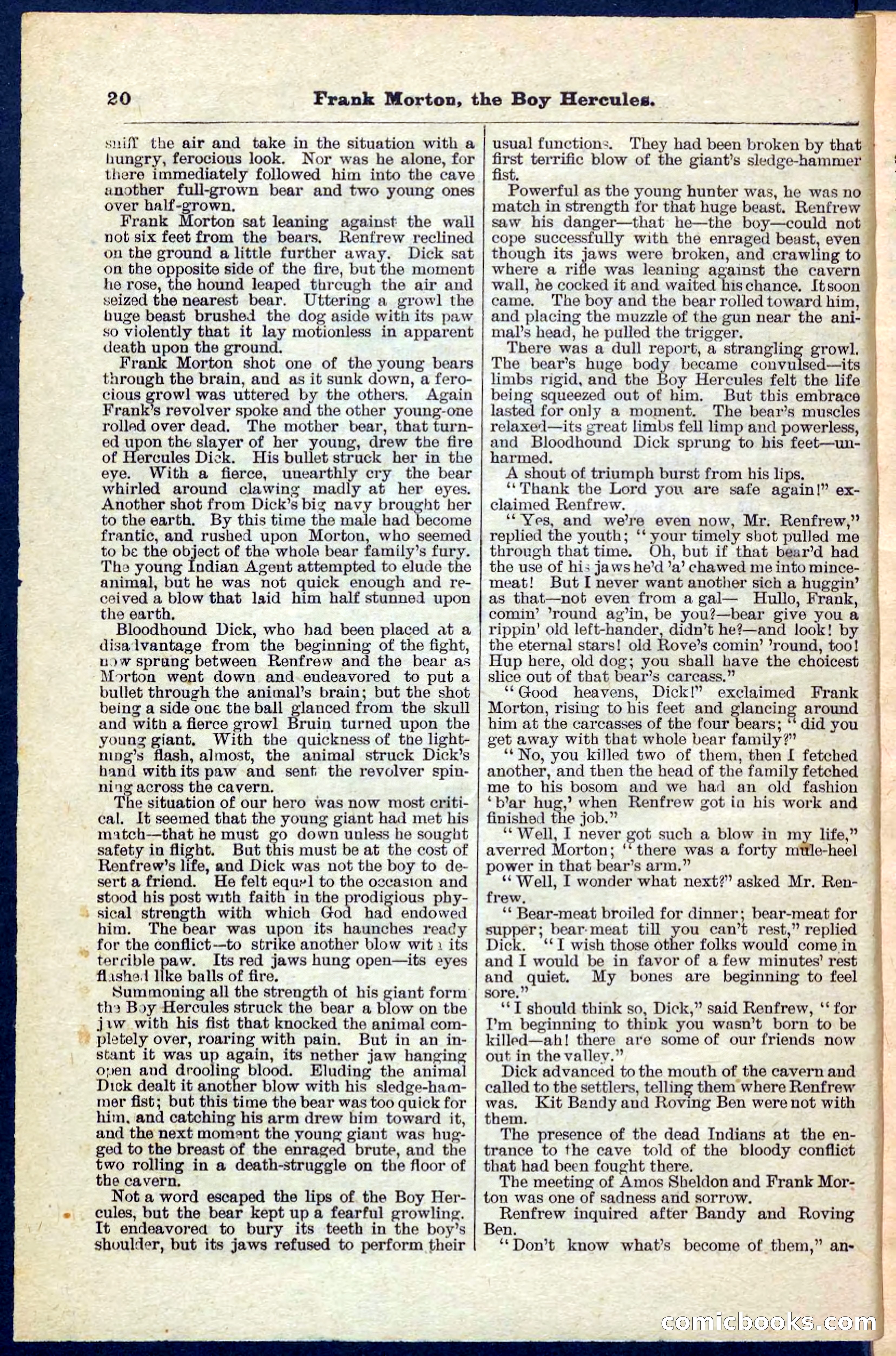Beadle's Pocket Library No. 171 — page 20 of 32