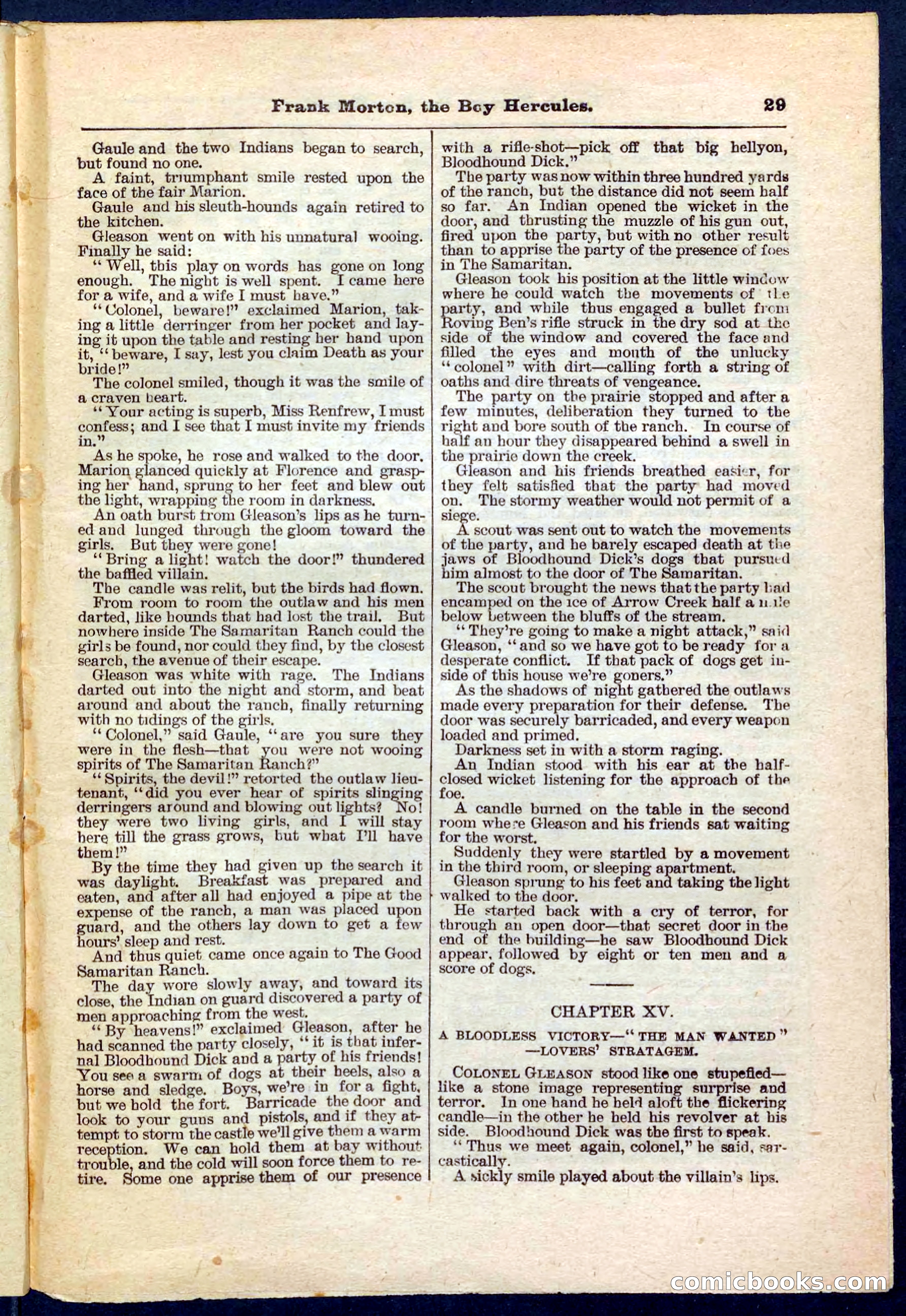 Beadle's Pocket Library No. 171 — page 29 of 32