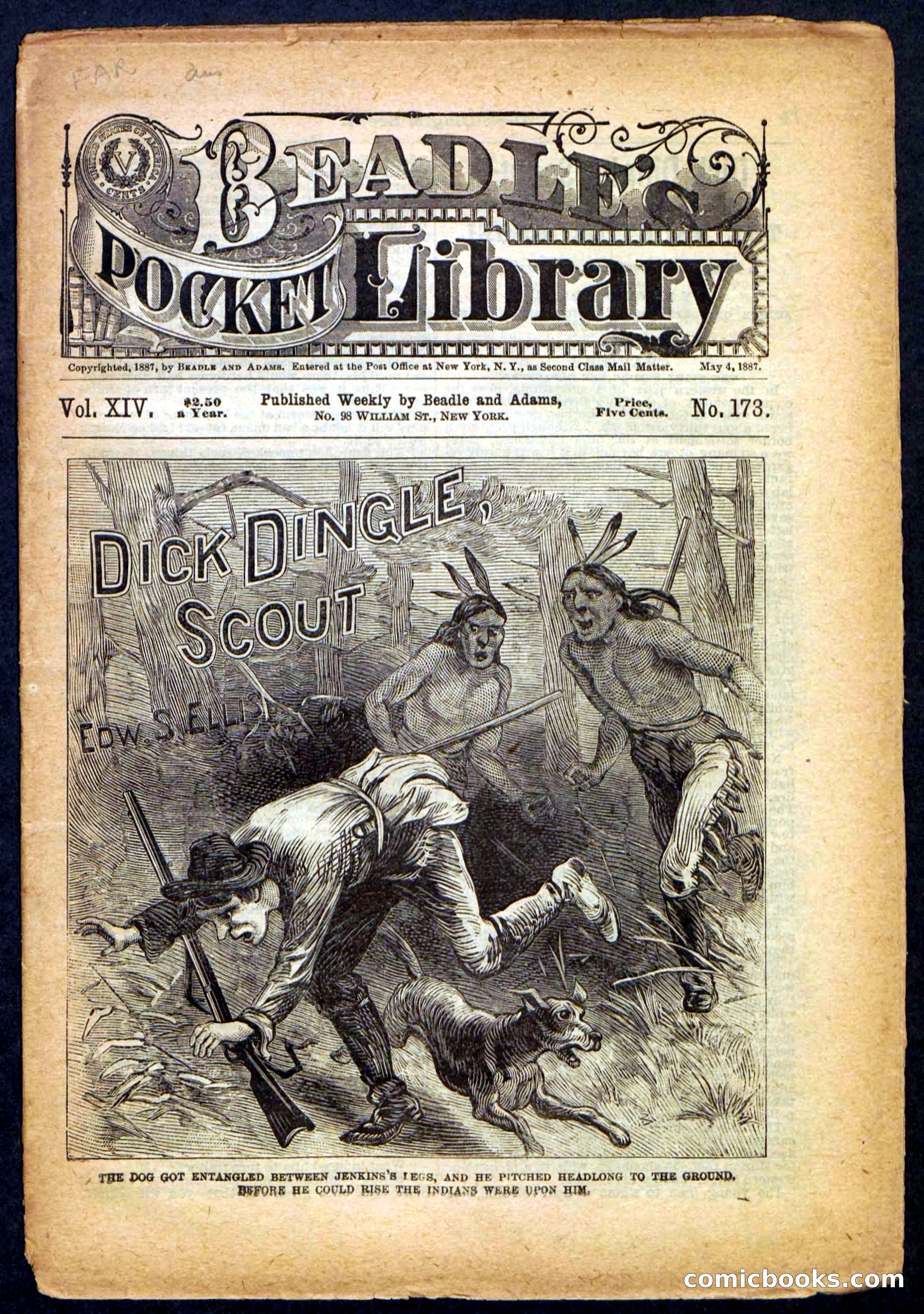 Beadle's Pocket Library No. 173 — page 1 of 32
