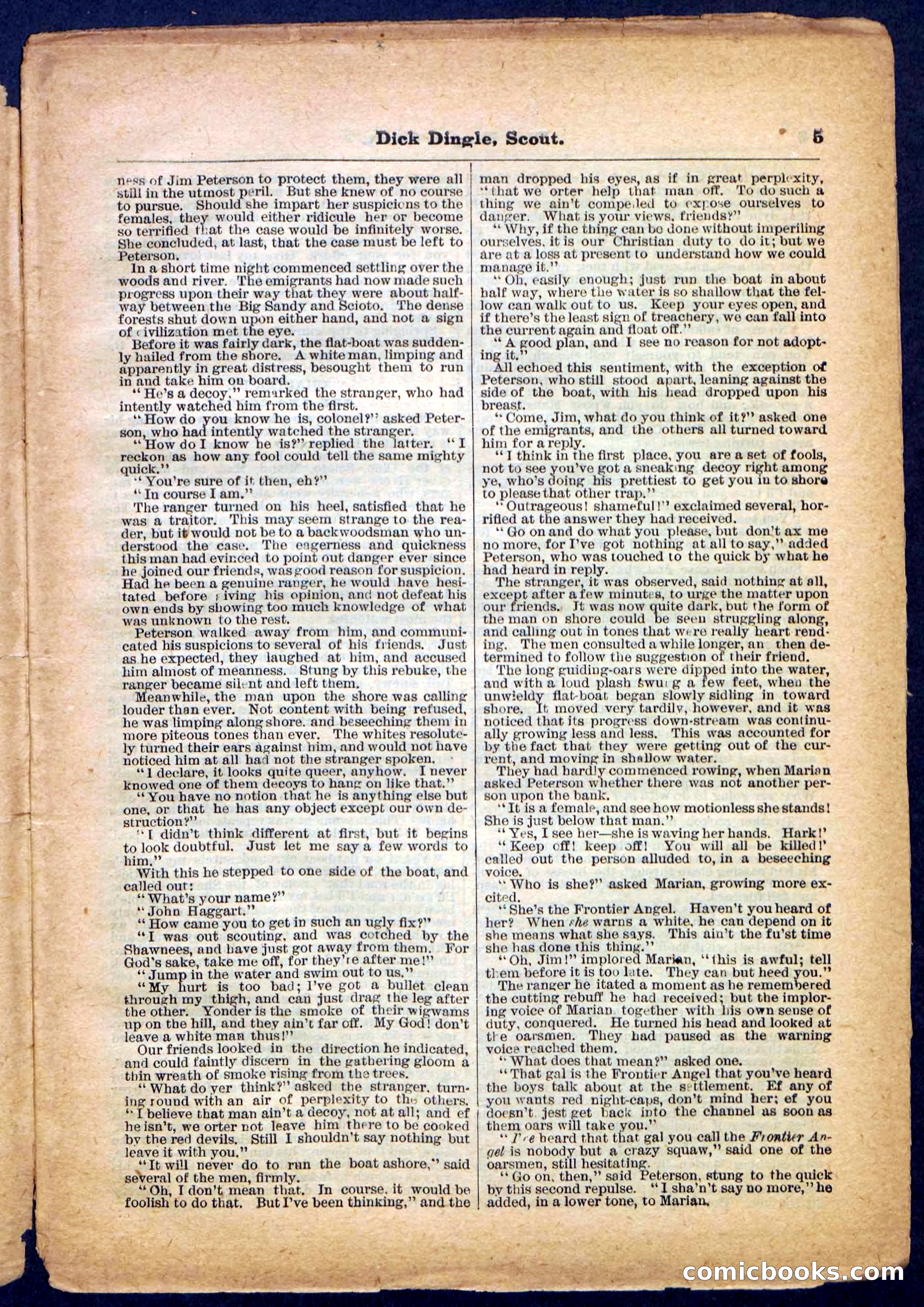 Beadle's Pocket Library No. 173 — page 5 of 32