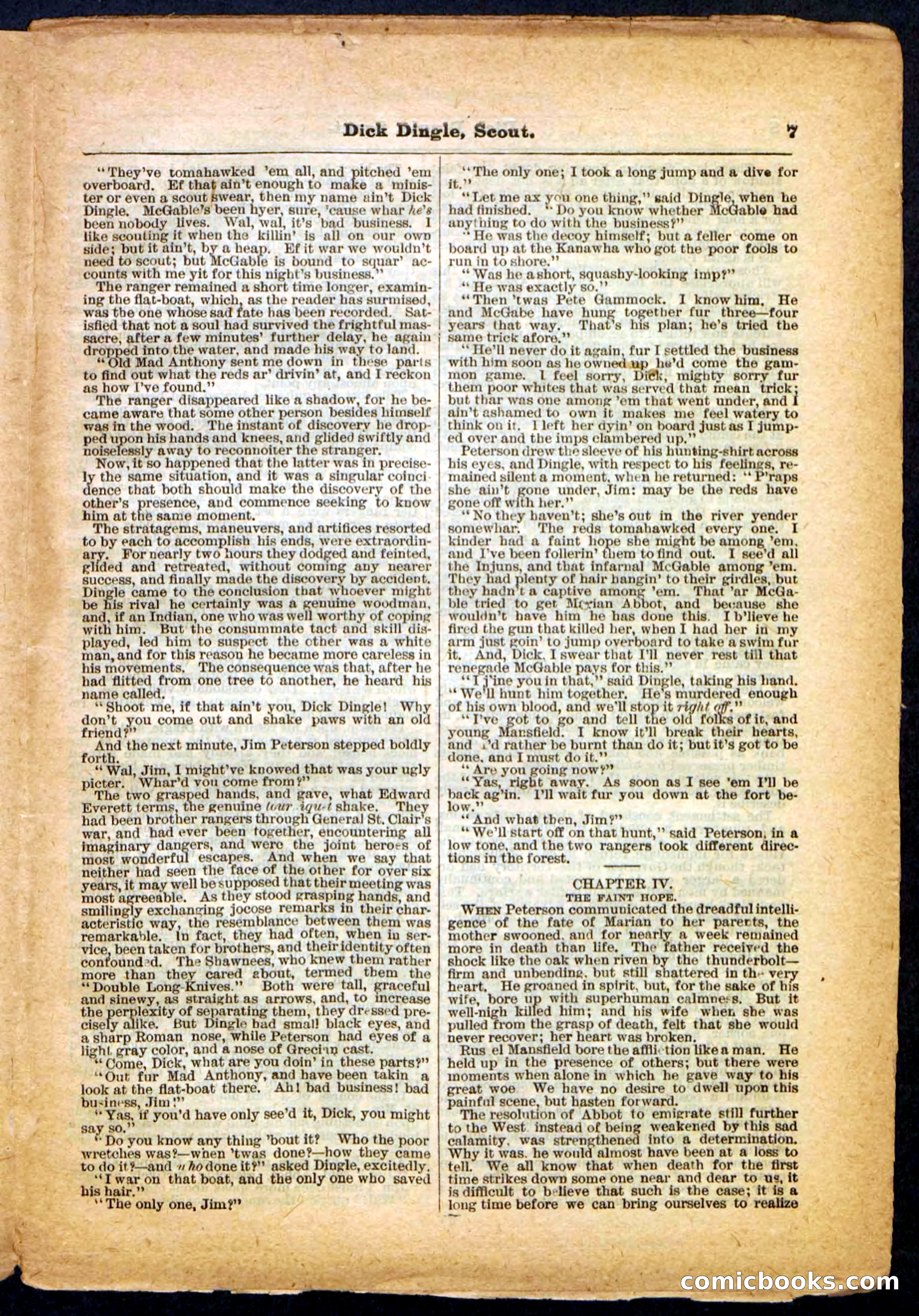 Beadle's Pocket Library No. 173 — page 7 of 32
