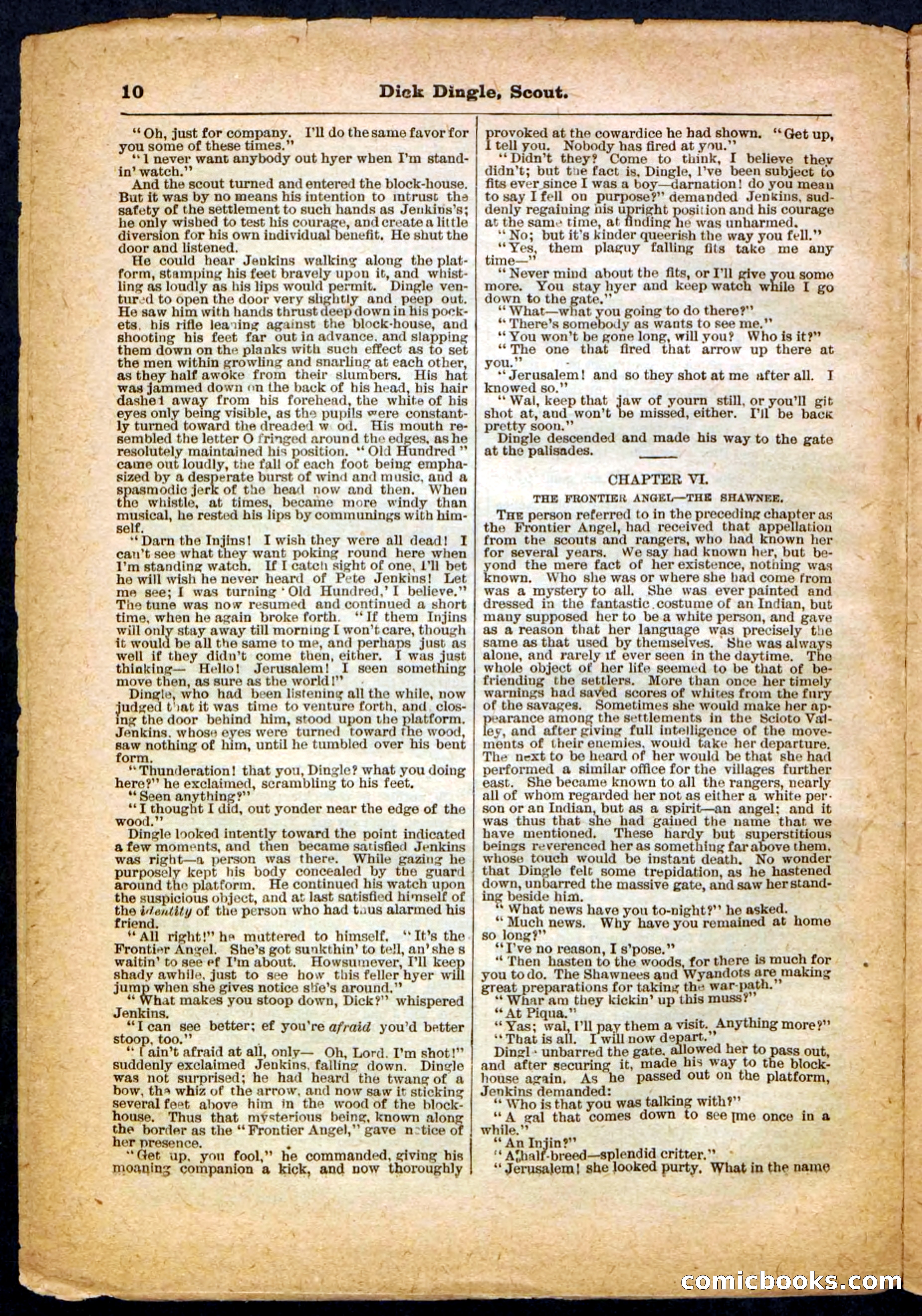 Beadle's Pocket Library No. 173 — page 10 of 32