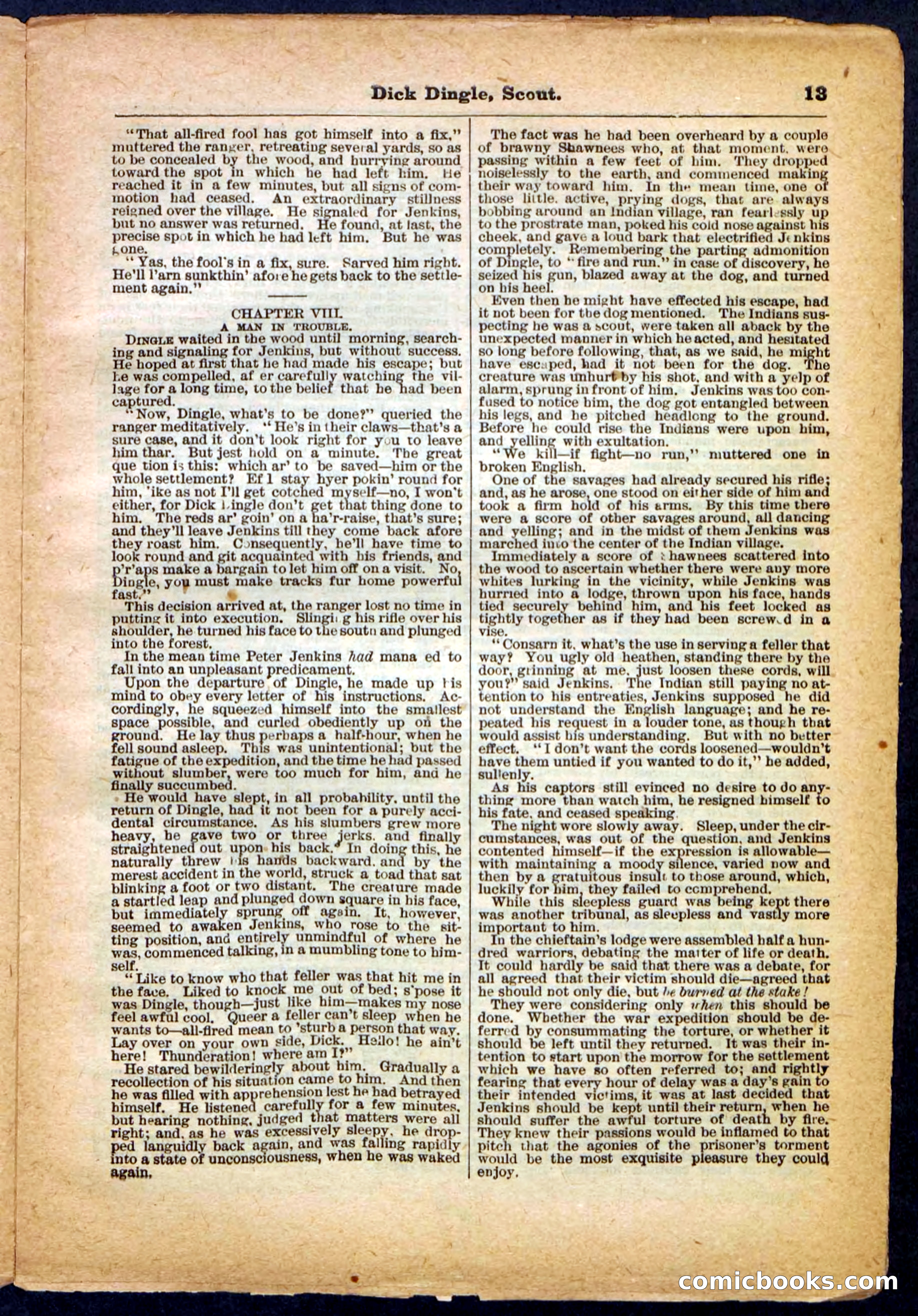 Beadle's Pocket Library No. 173 — page 13 of 32